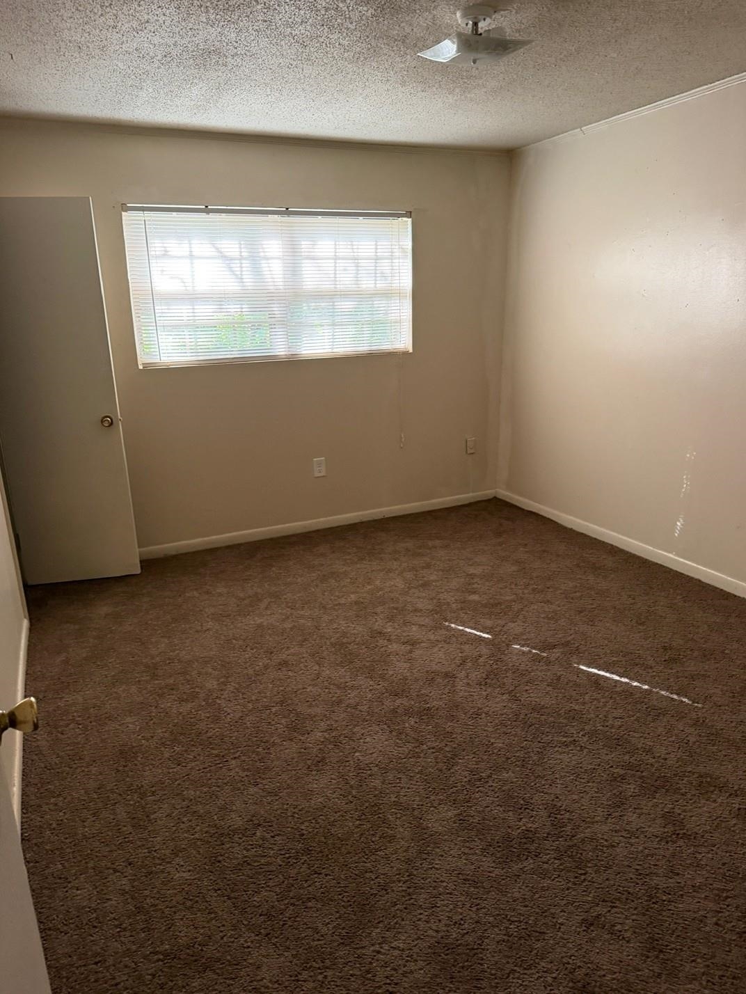 679 Miles Dr 679 Property Photo 11
