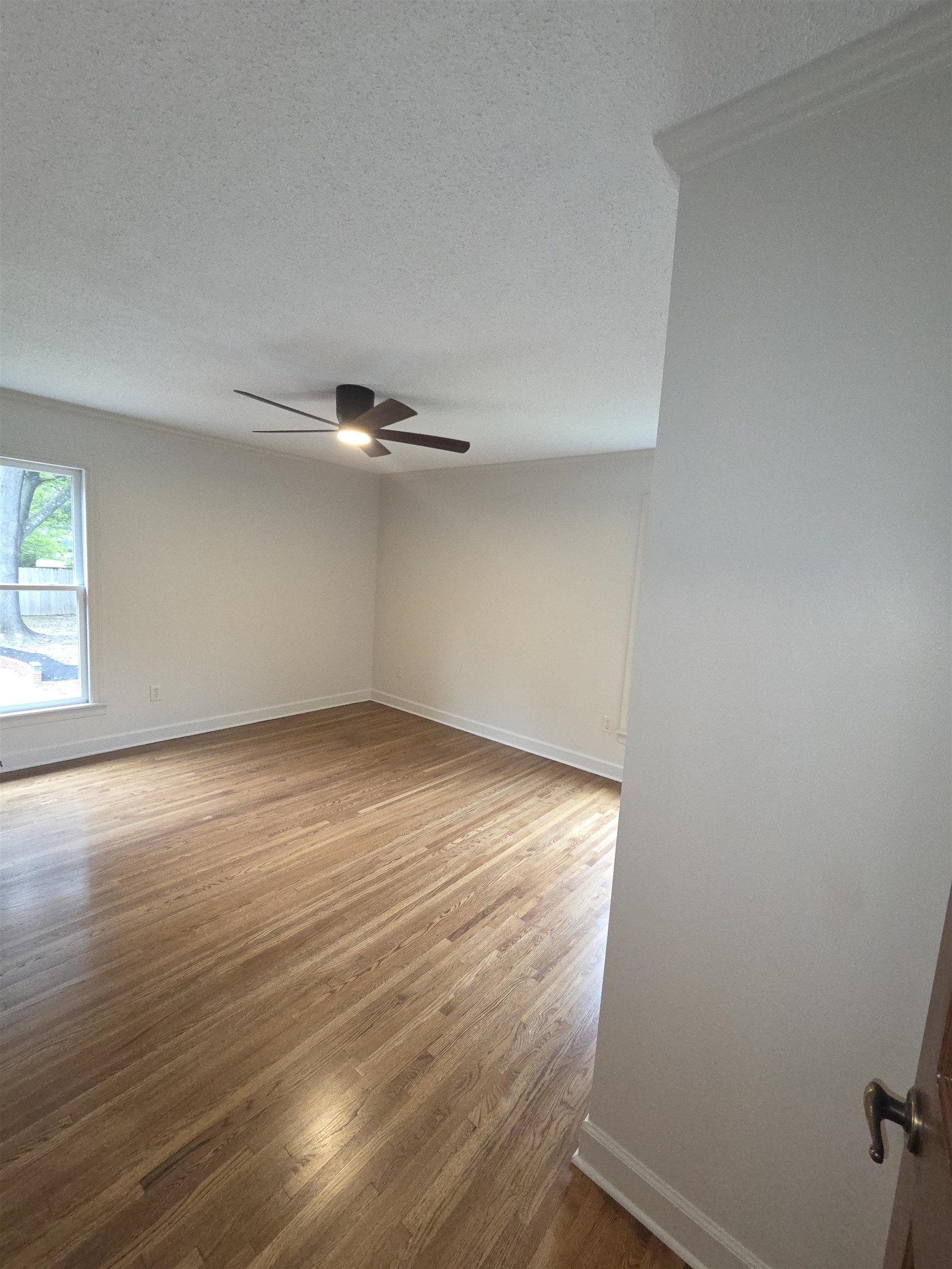 2336 Kirby Pky Property Photo 37