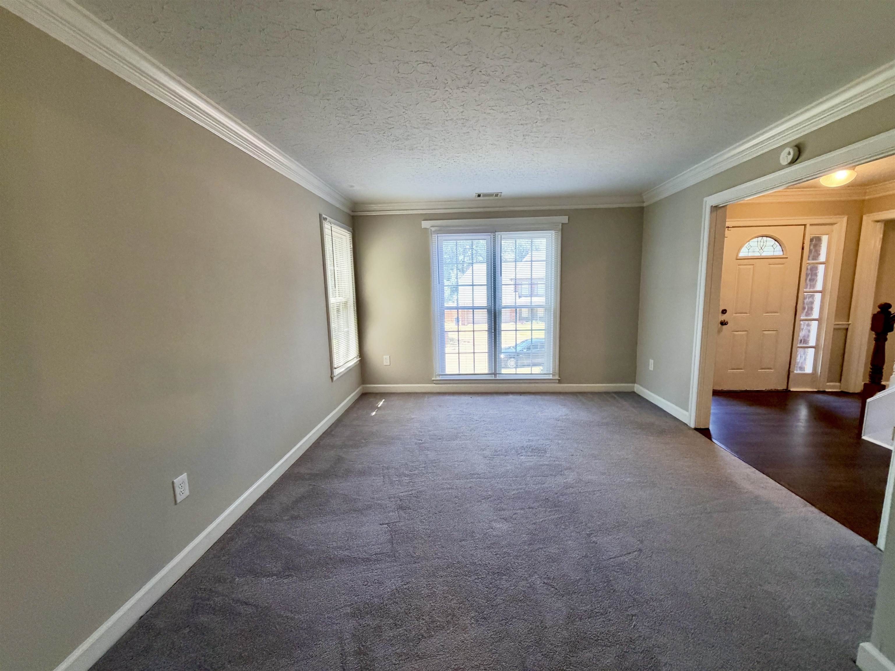 344 Locust Grove Dr Property Photo 4