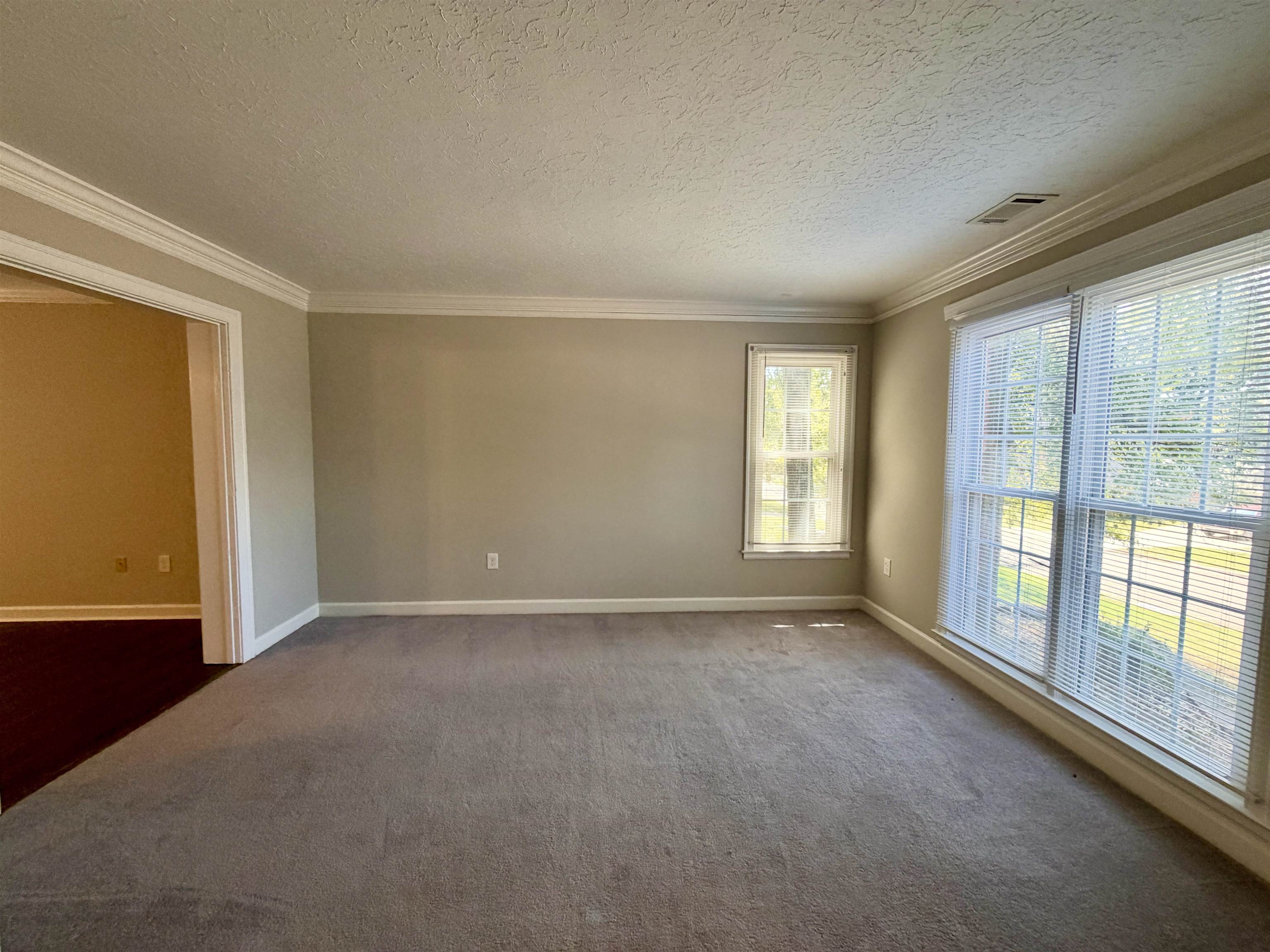 344 Locust Grove Dr Property Photo 5