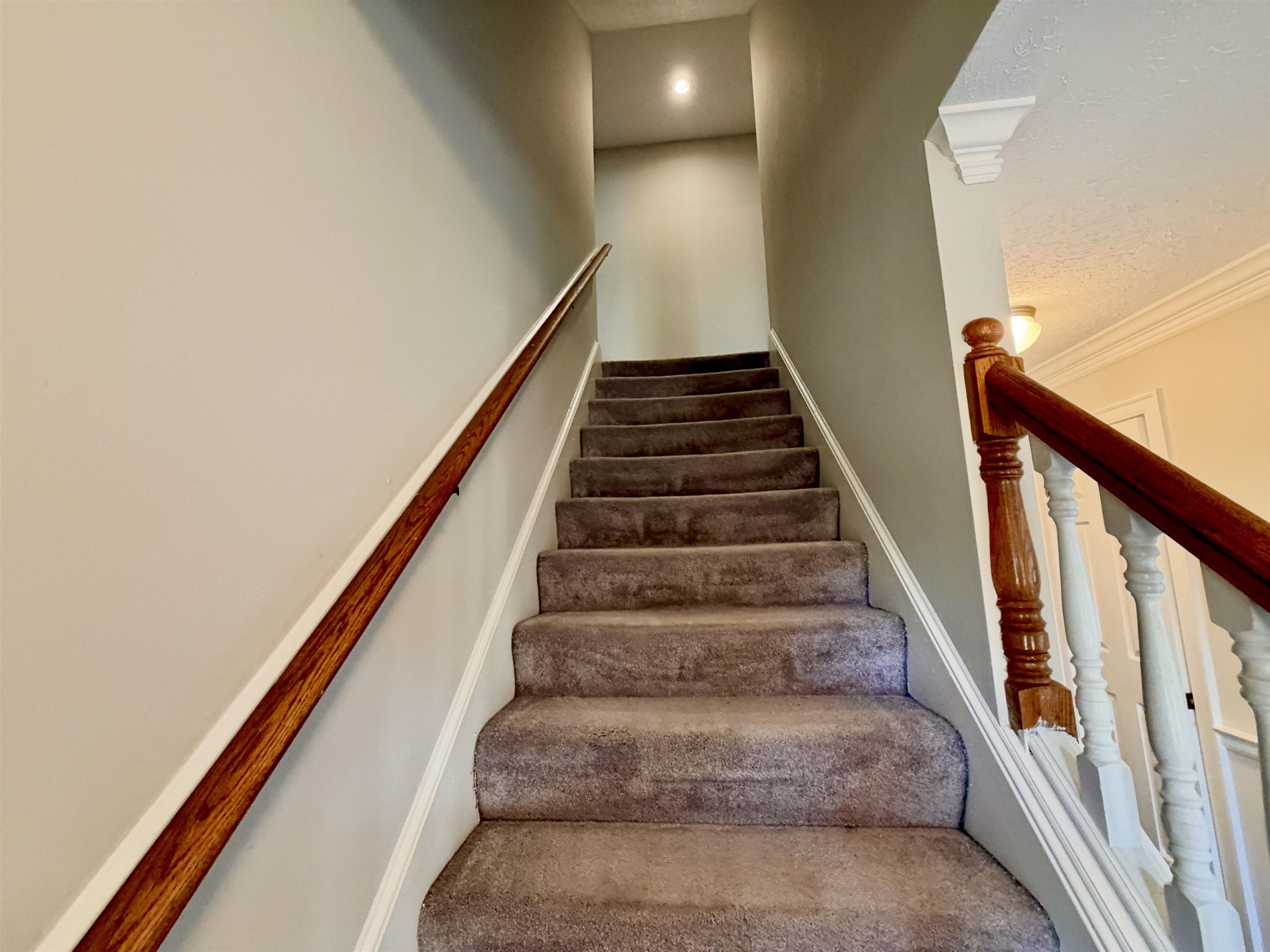 344 Locust Grove Dr Property Photo 15