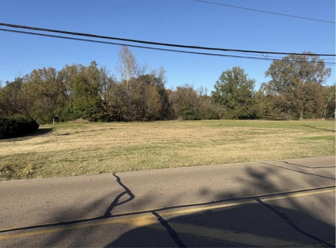 0 Old Brownsville Rd Property Photo 2