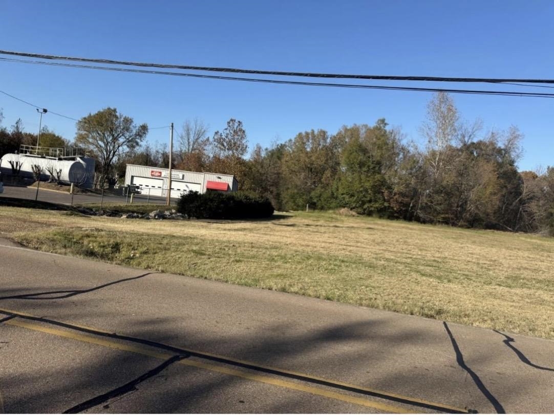 0 Old Brownsville Rd Property Photo 3