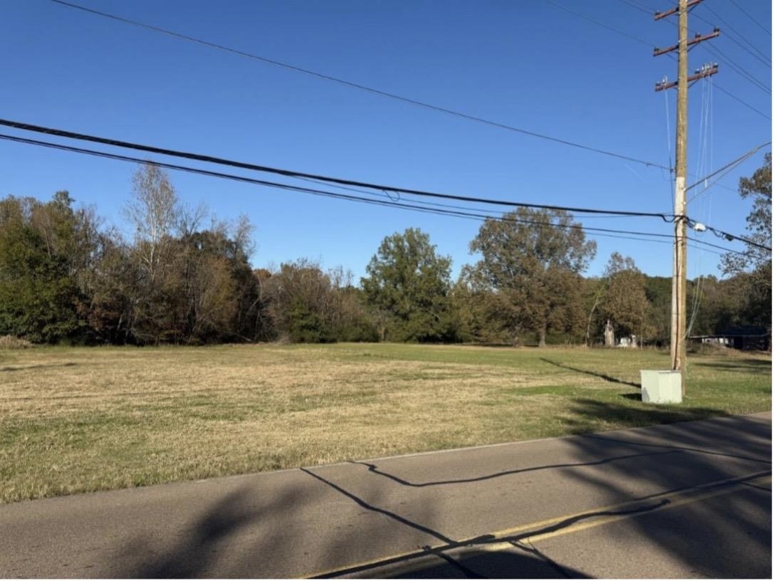 0 Old Brownsville Rd Property Photo 4