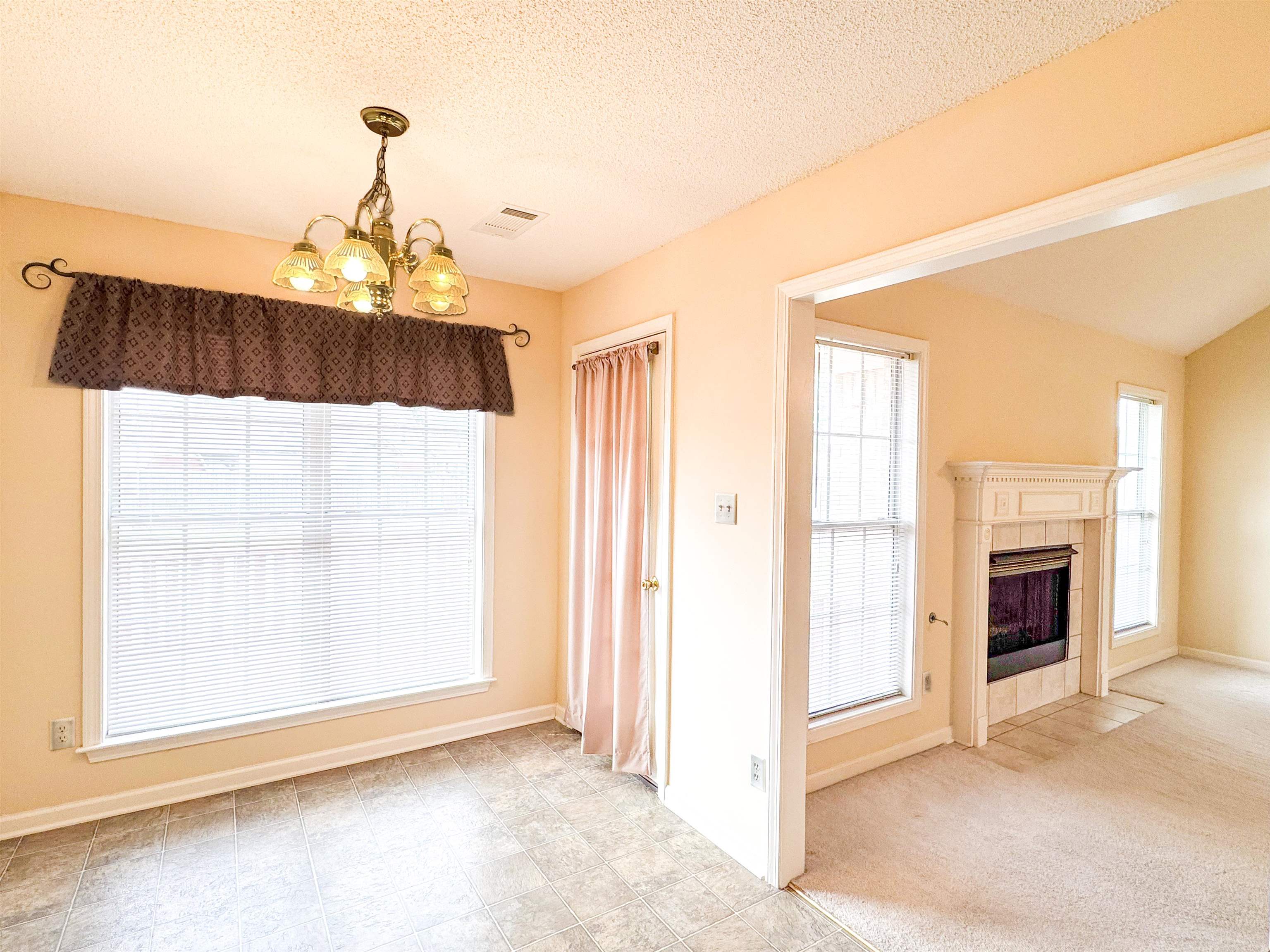 60 Camelia St Property Photo 15