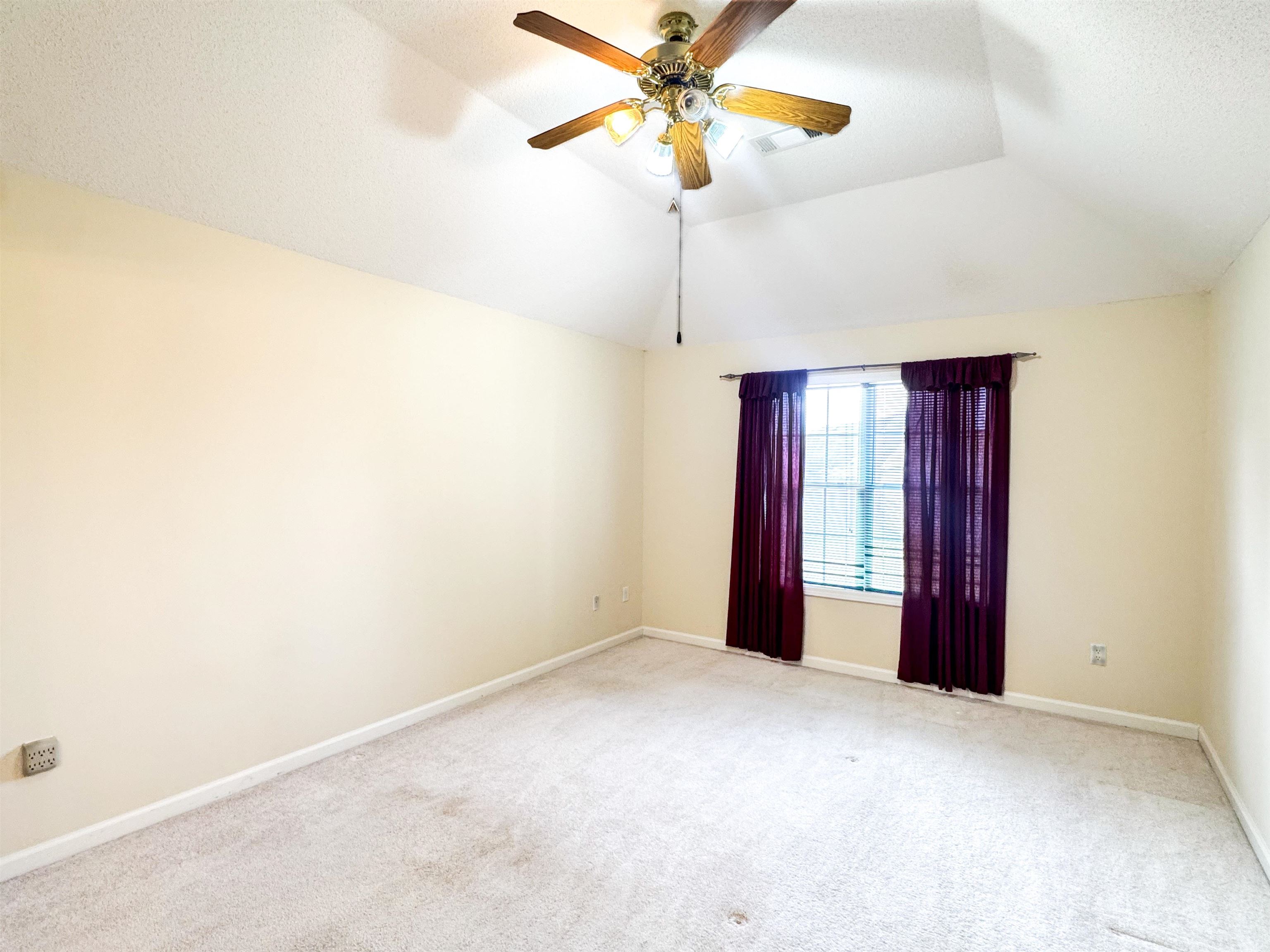 60 Camelia St Property Photo 19