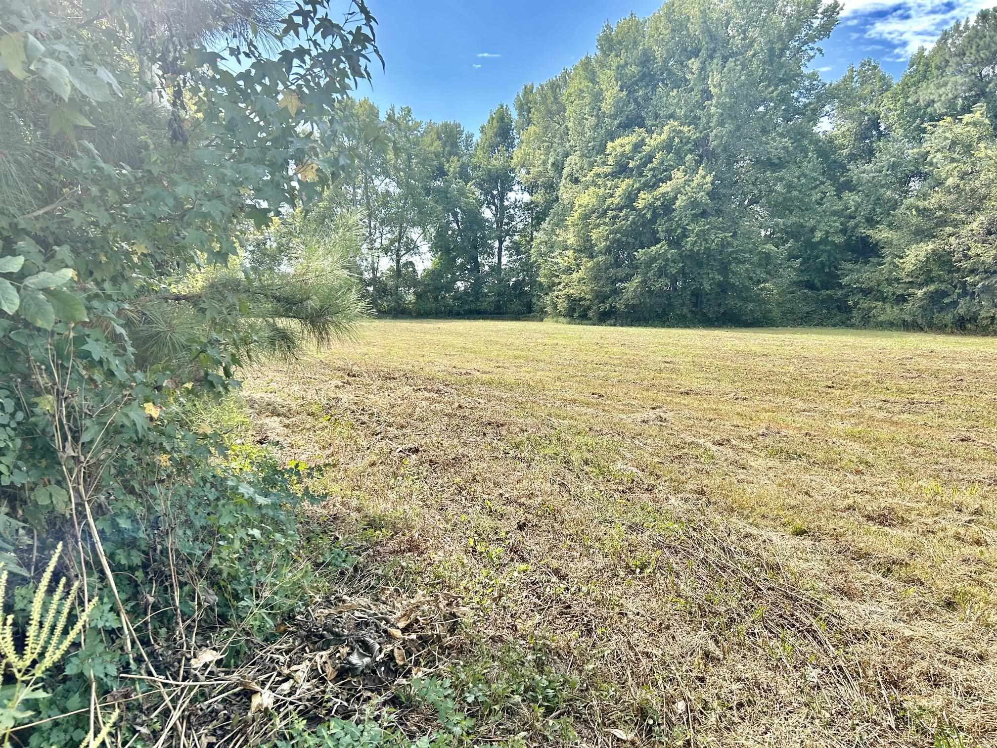 1023 Lightfoot Luckett Rd Property Photo 19