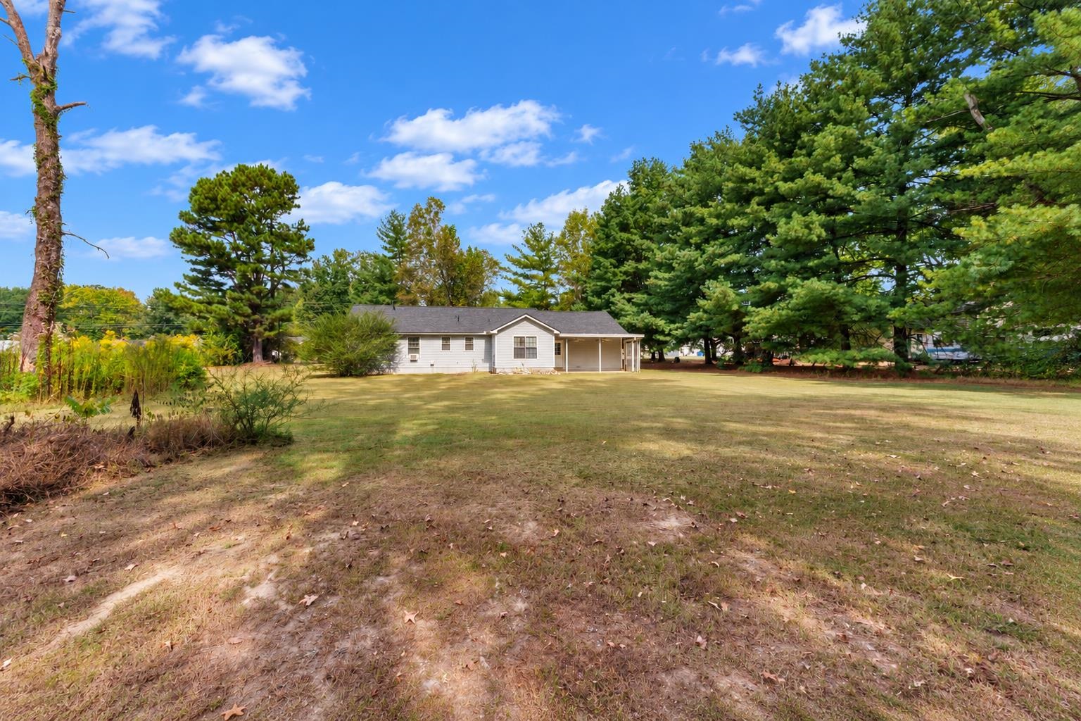 256 Shannon Ln Property Photo 29
