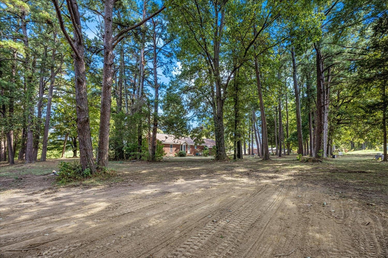 341 Ray Ln Property Photo 22