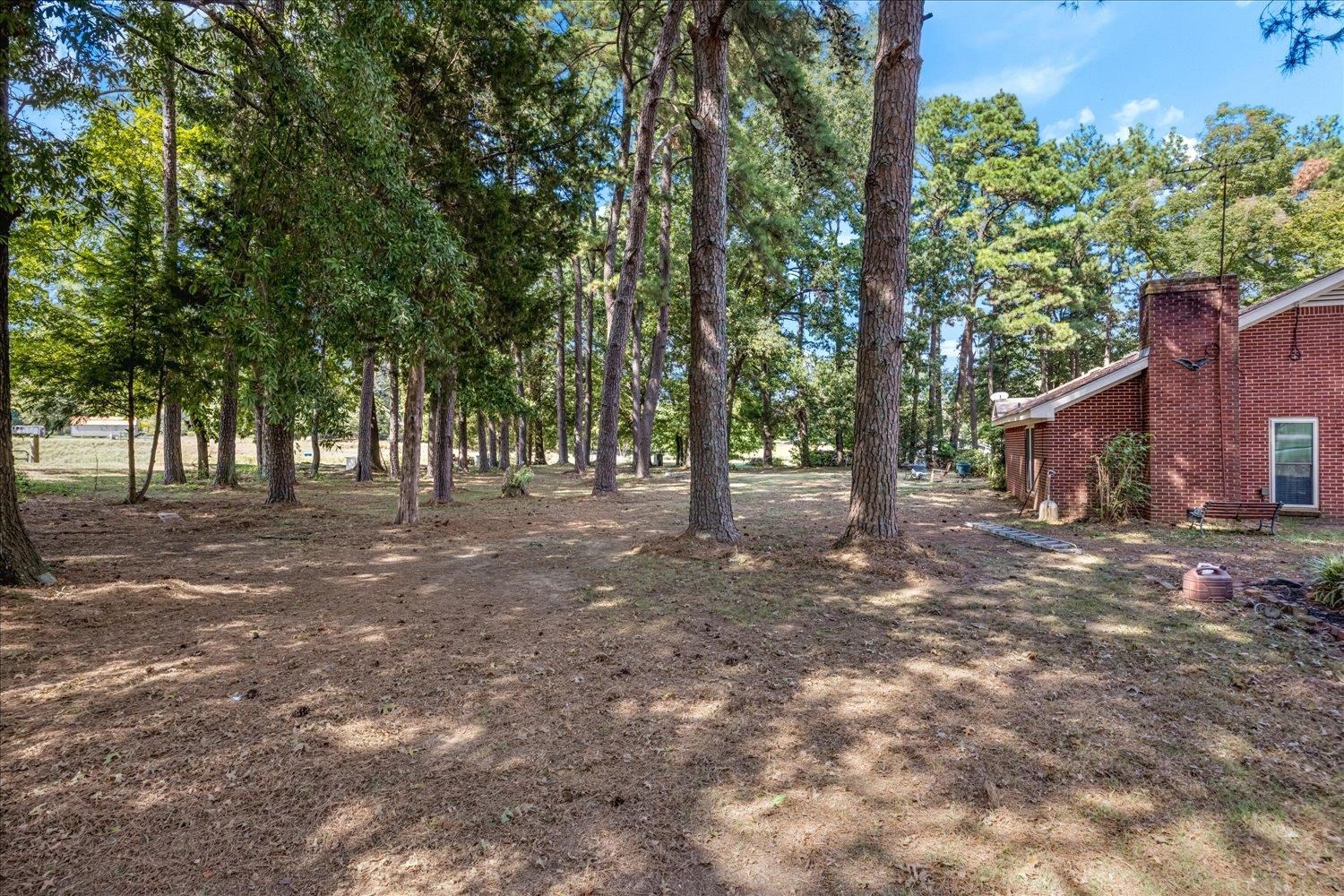 341 Ray Ln Property Photo 27