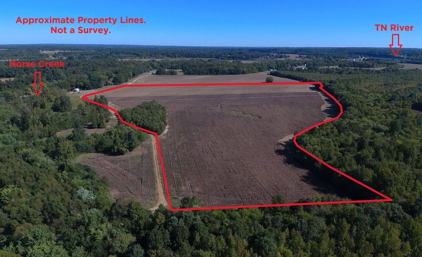 0 Teal Ln Property Photo 1