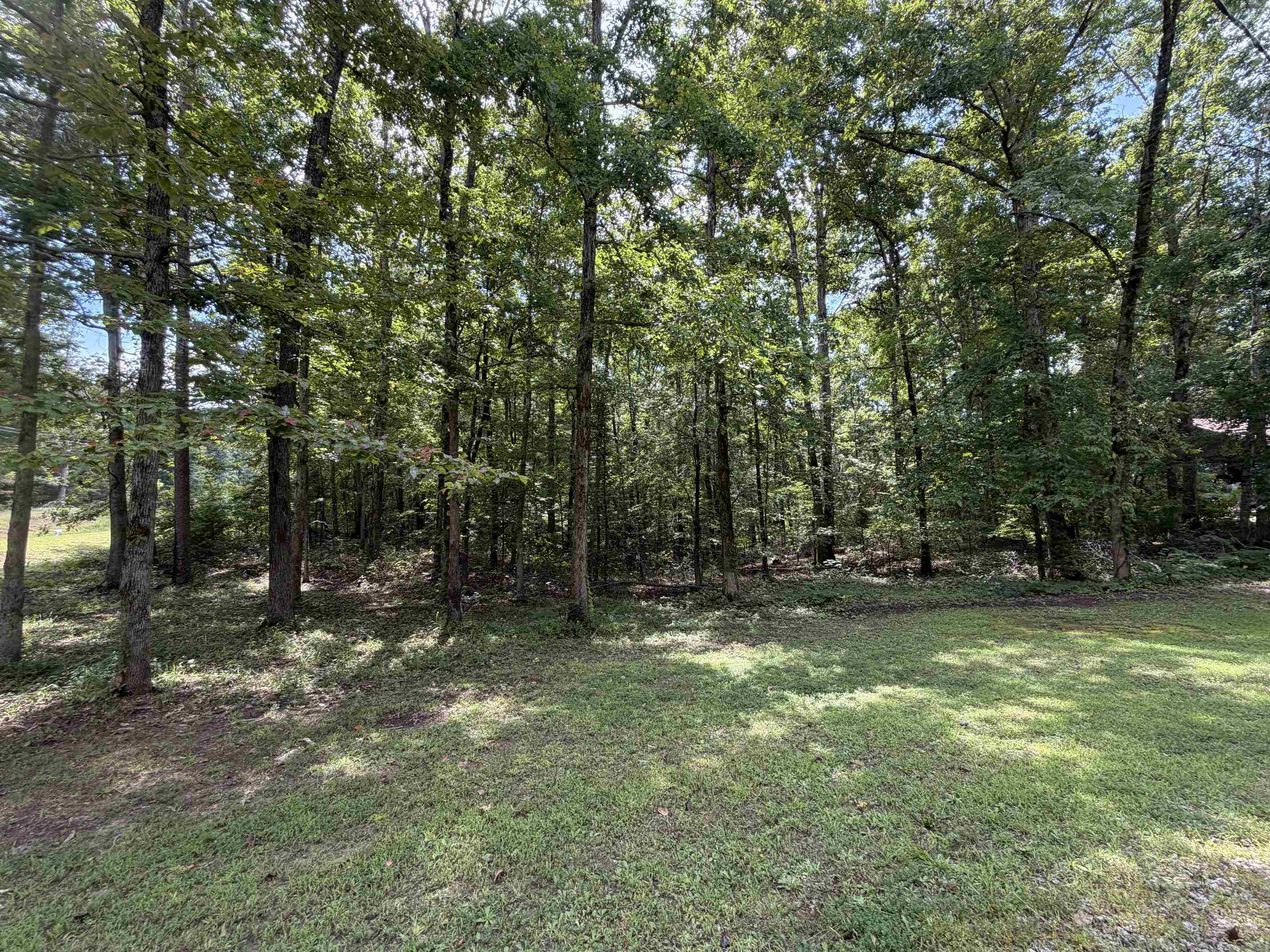 360 Jade Rd Property Photo 38