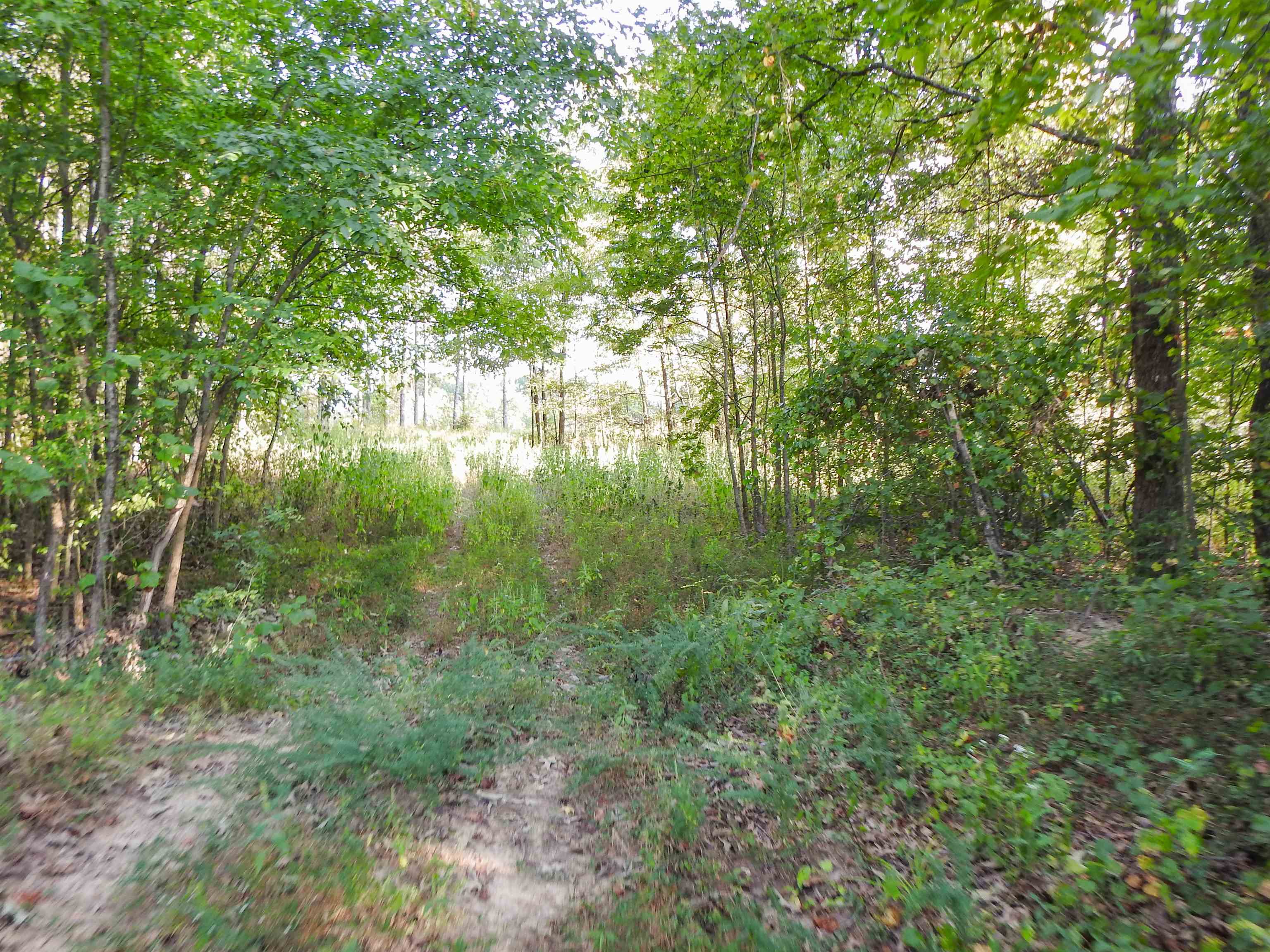 Hornsby Loop Property Photo 13