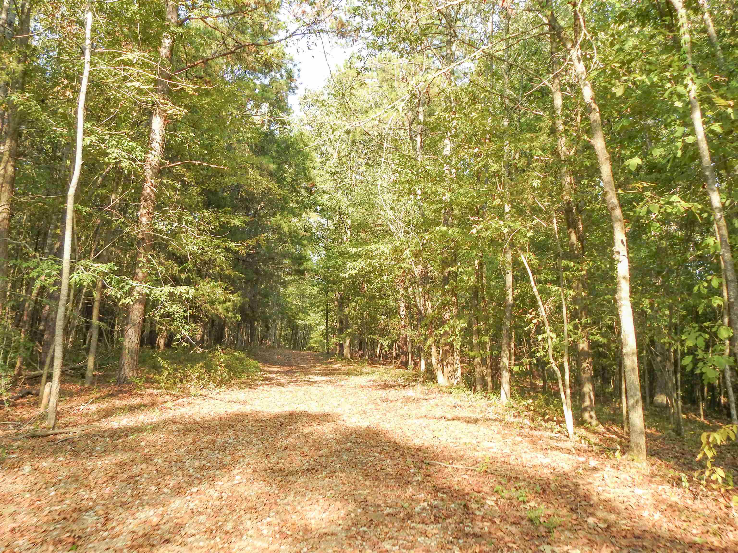 Hornsby Loop Property Photo 15