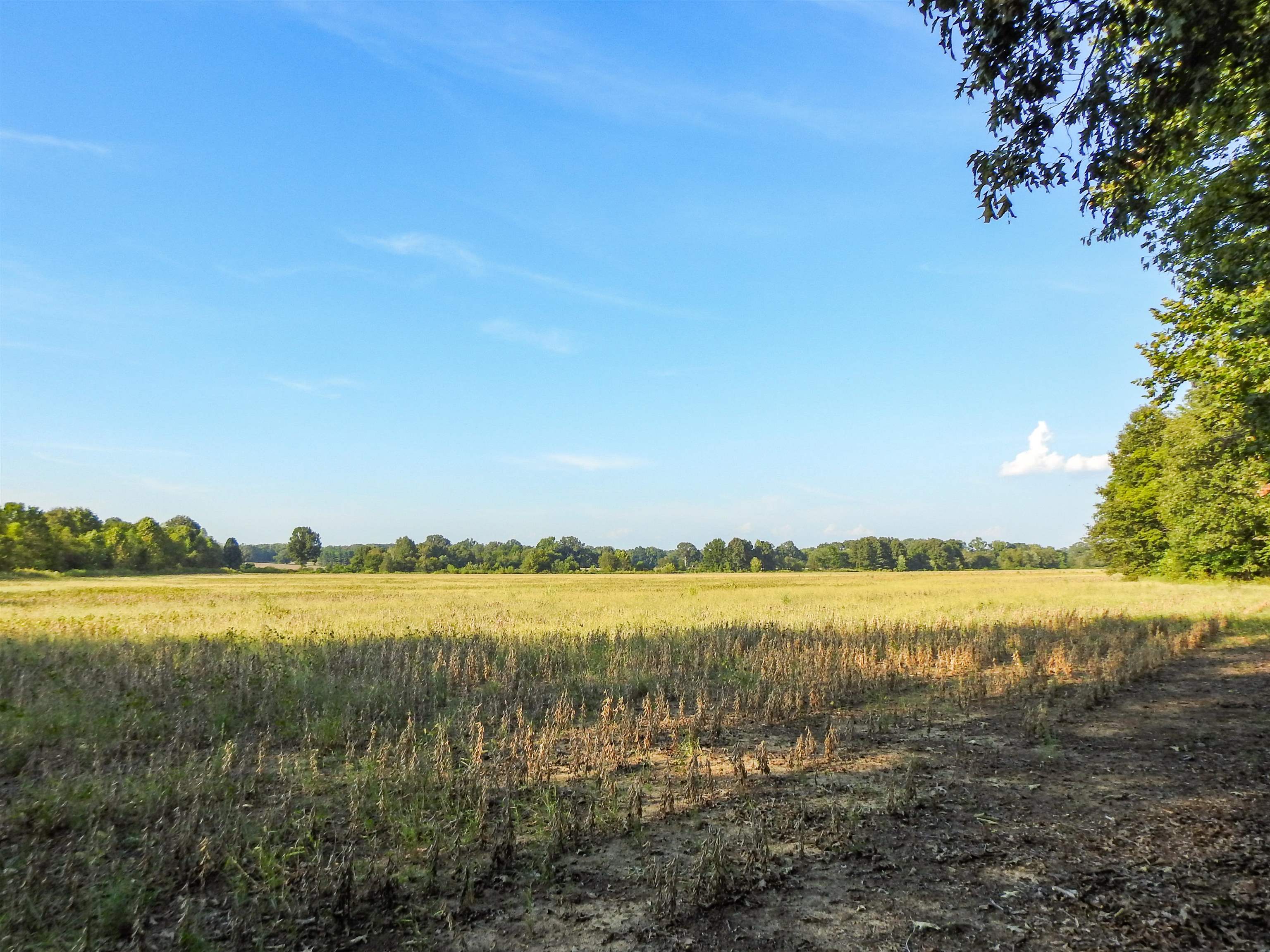 Hornsby Loop Property Photo 19