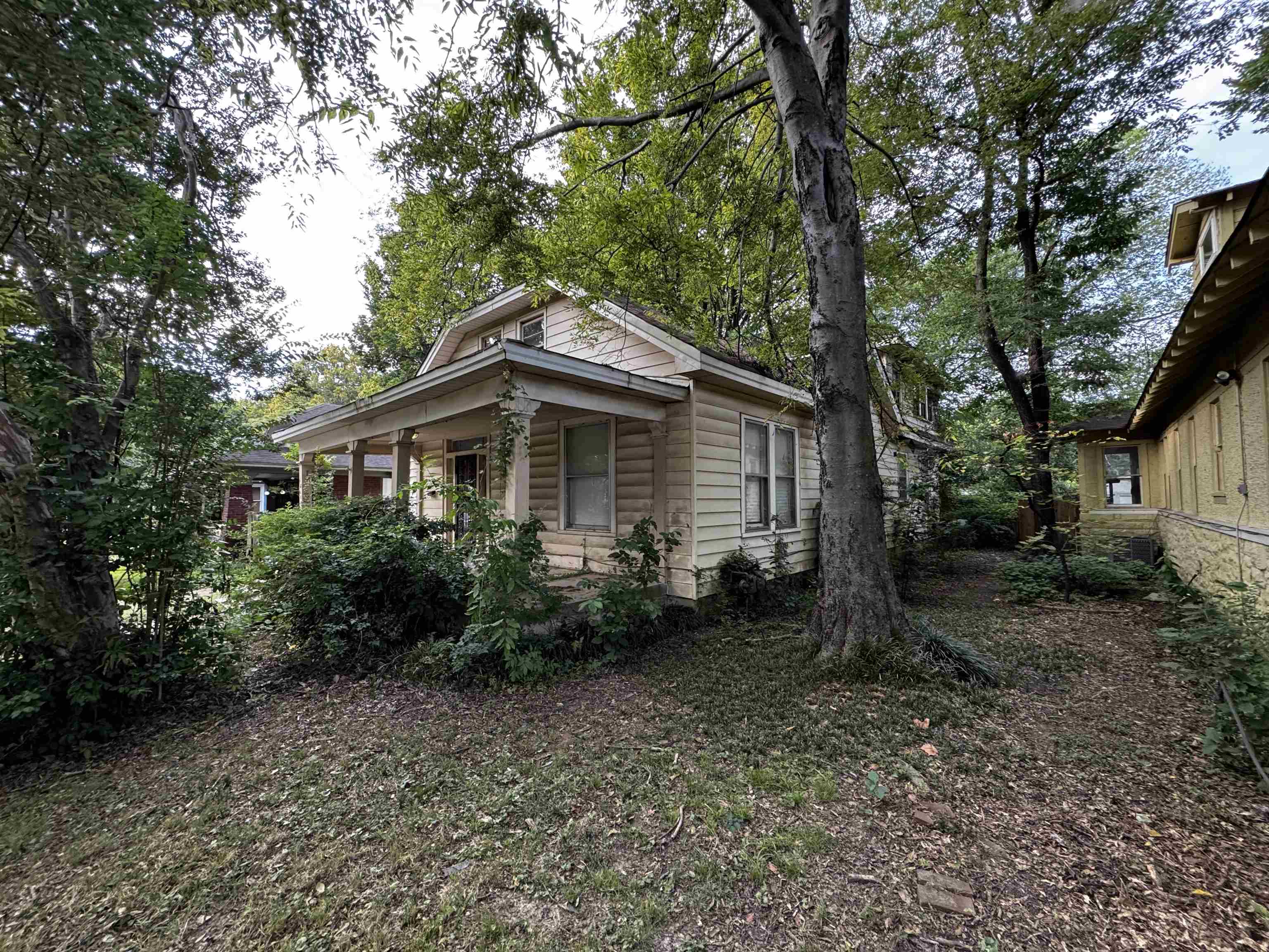 1840 Young Ave Property Photo 5