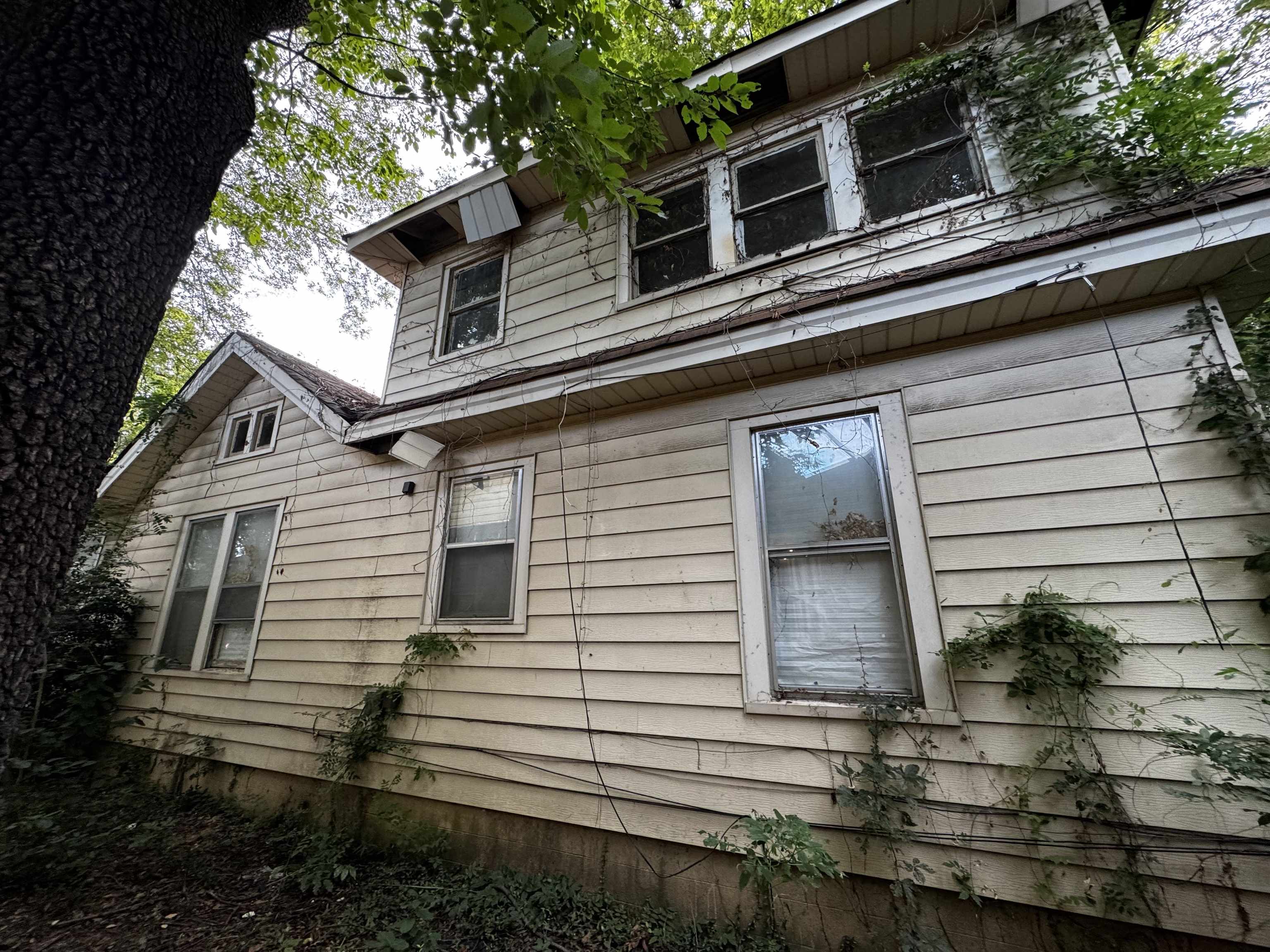 1840 Young Ave Property Photo 7