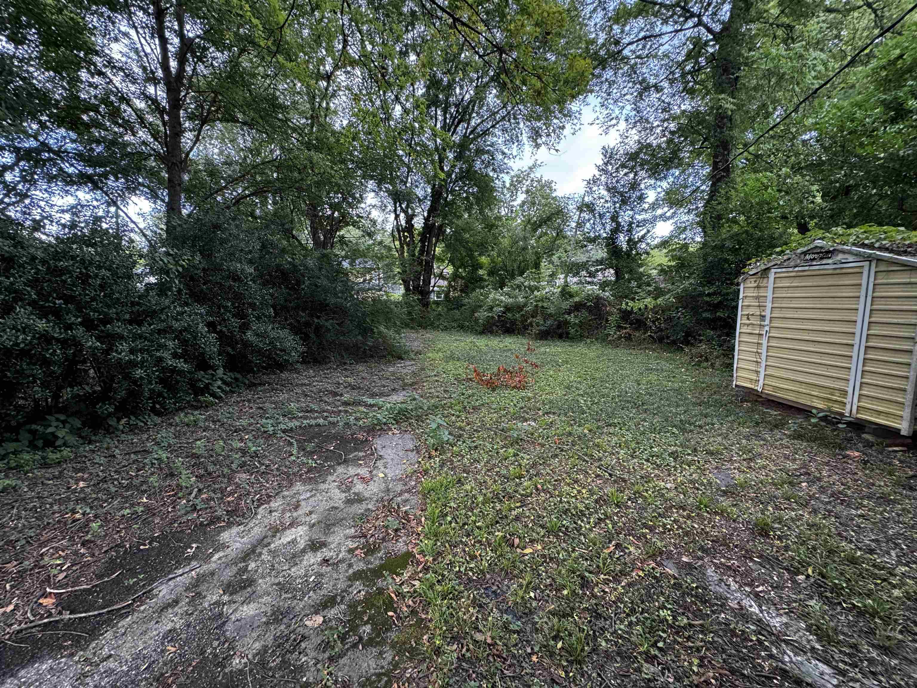 1840 Young Ave Property Photo 11
