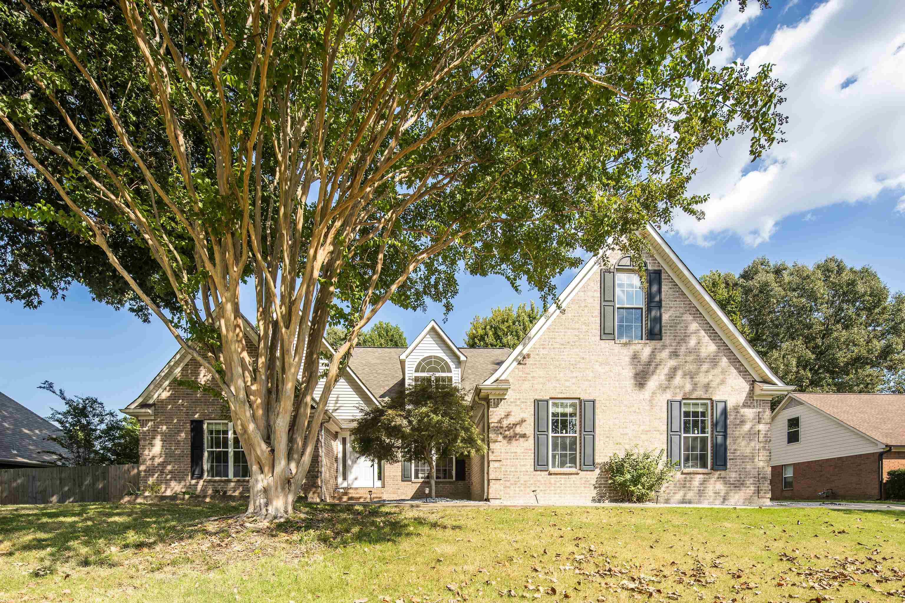 226 Thomas Ter Property Photo 3