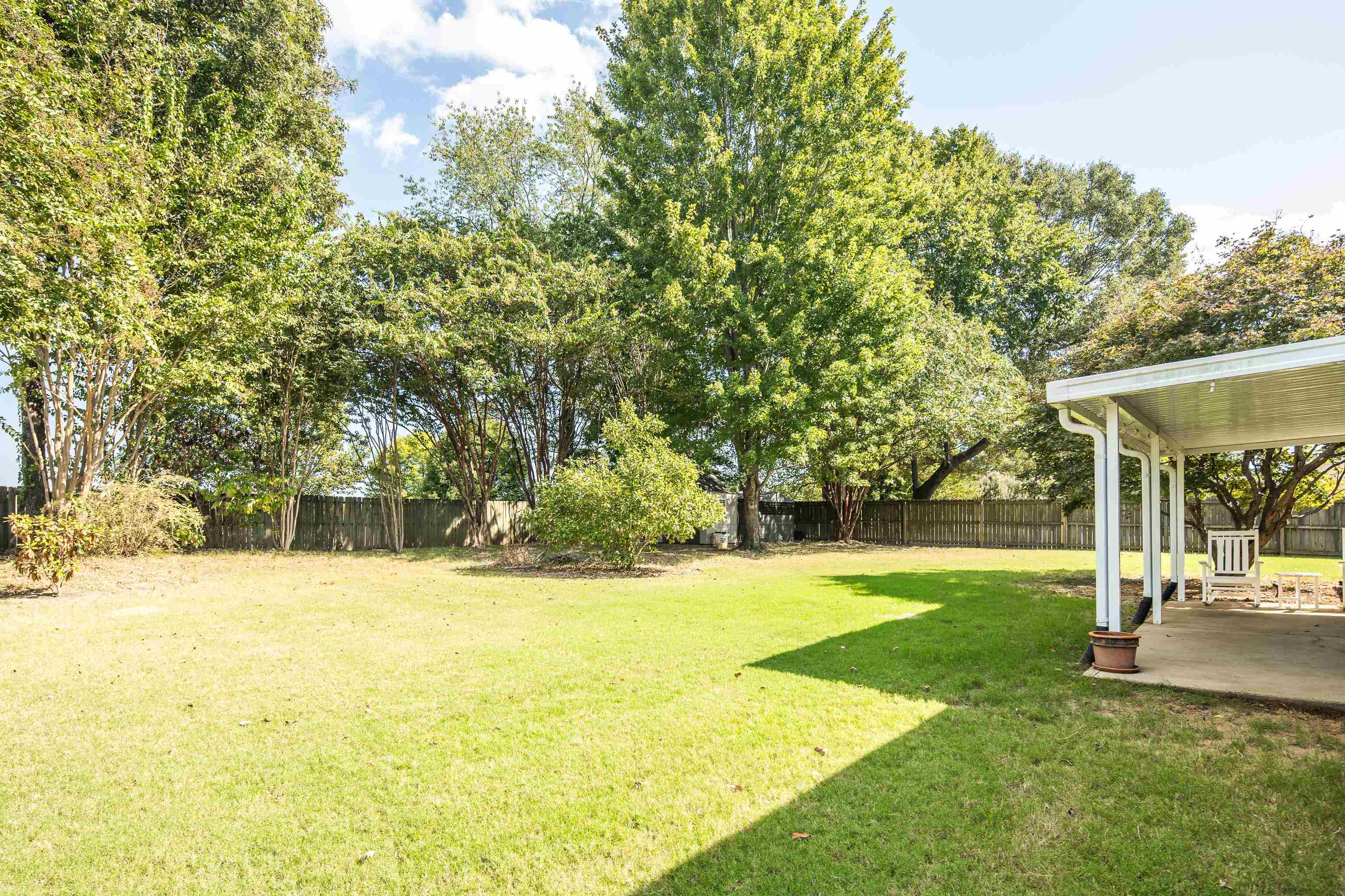 226 Thomas Ter Property Photo 39
