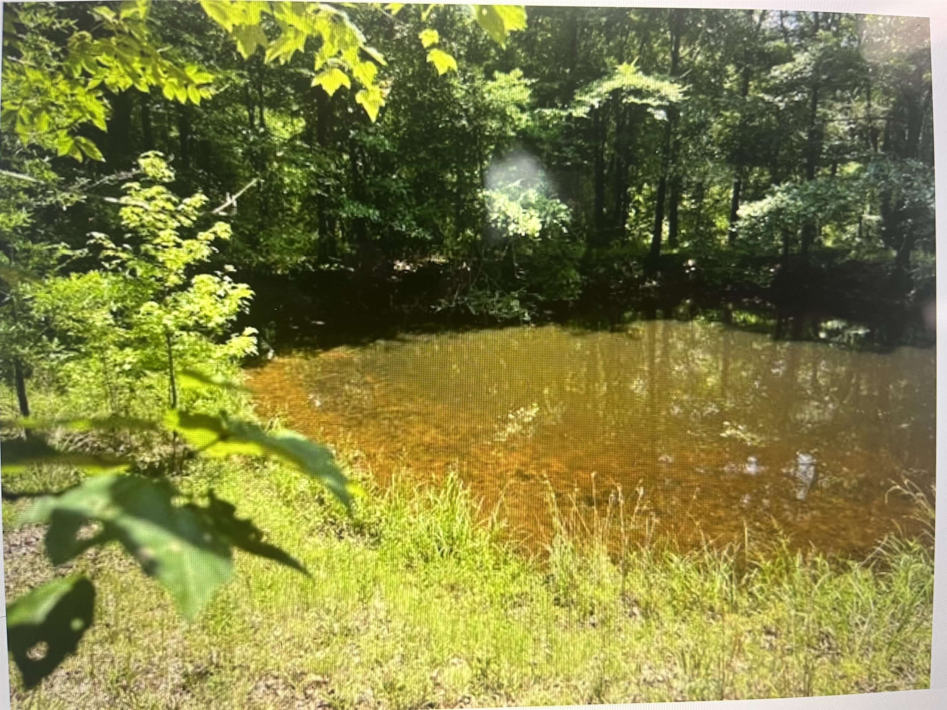 196 Boyd Ln Property Photo 1