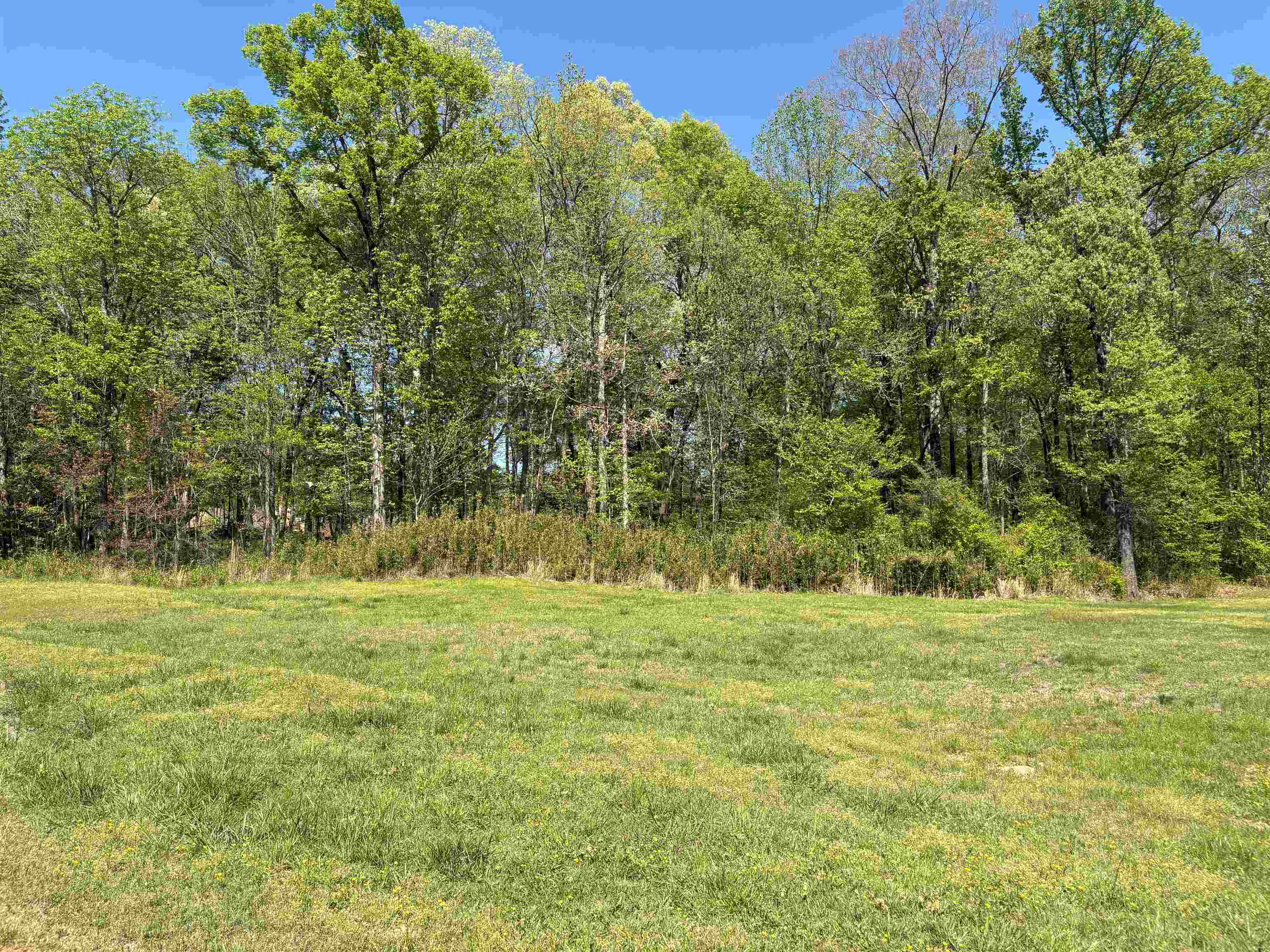 11338 Monterey Rd Property Photo 6
