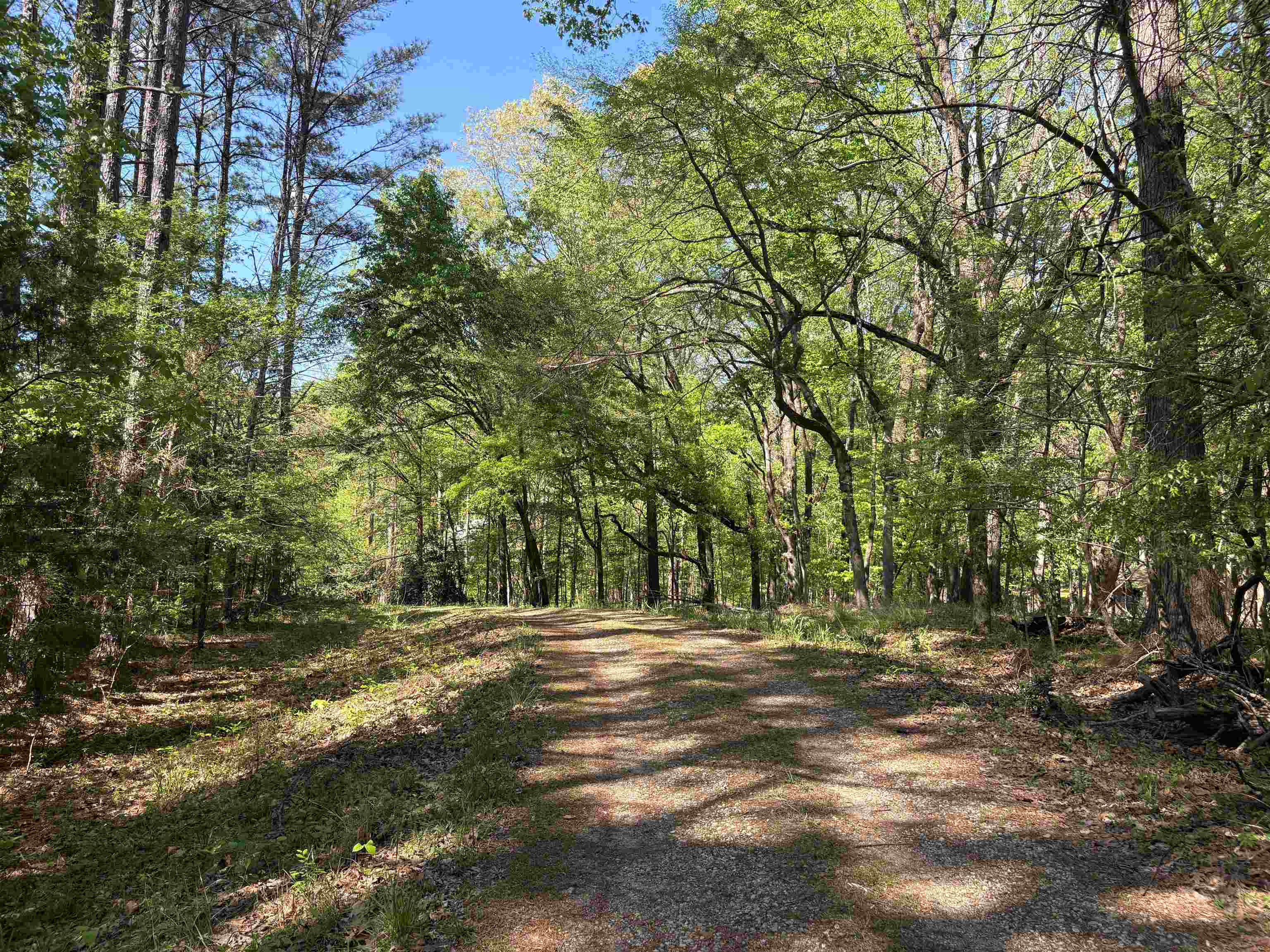 11338 Monterey Rd Property Photo 9
