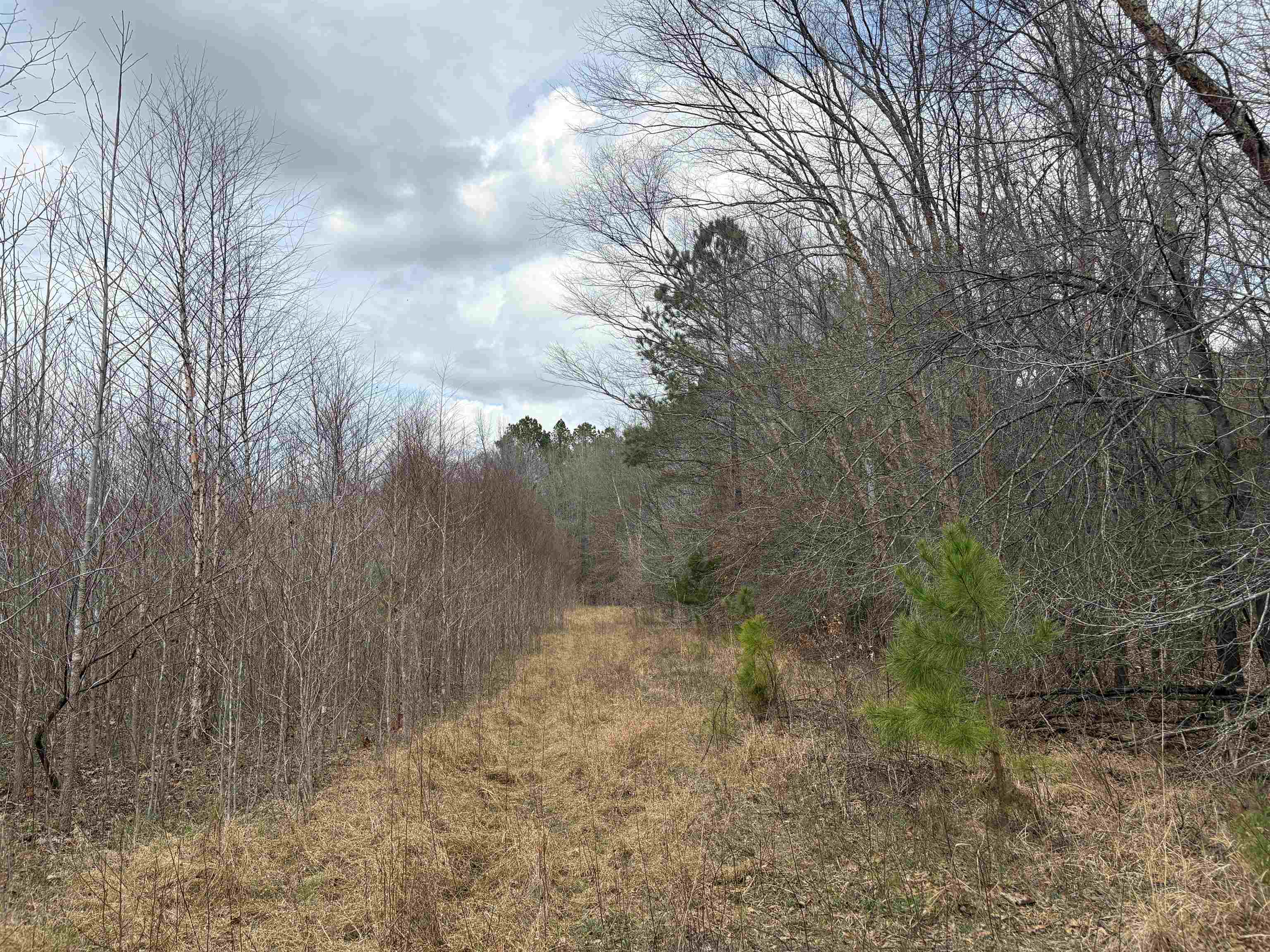 11338 Monterey Rd Property Photo 15
