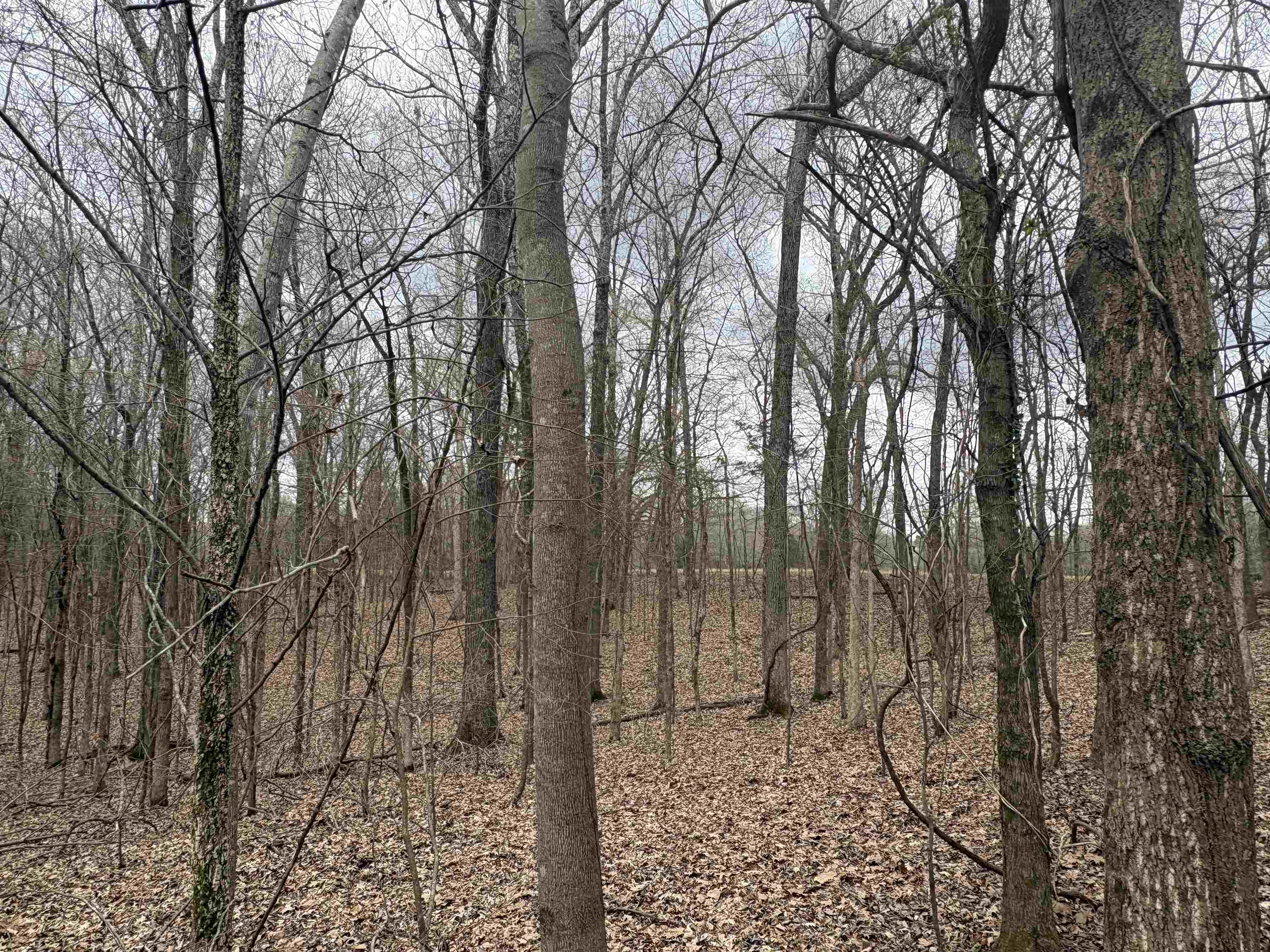 11338 Monterey Rd Property Photo 36