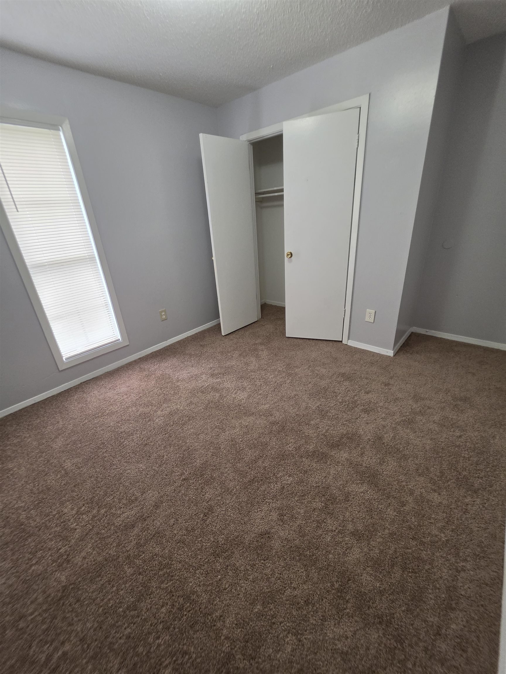 3882 Brandy Ave Property Photo 11