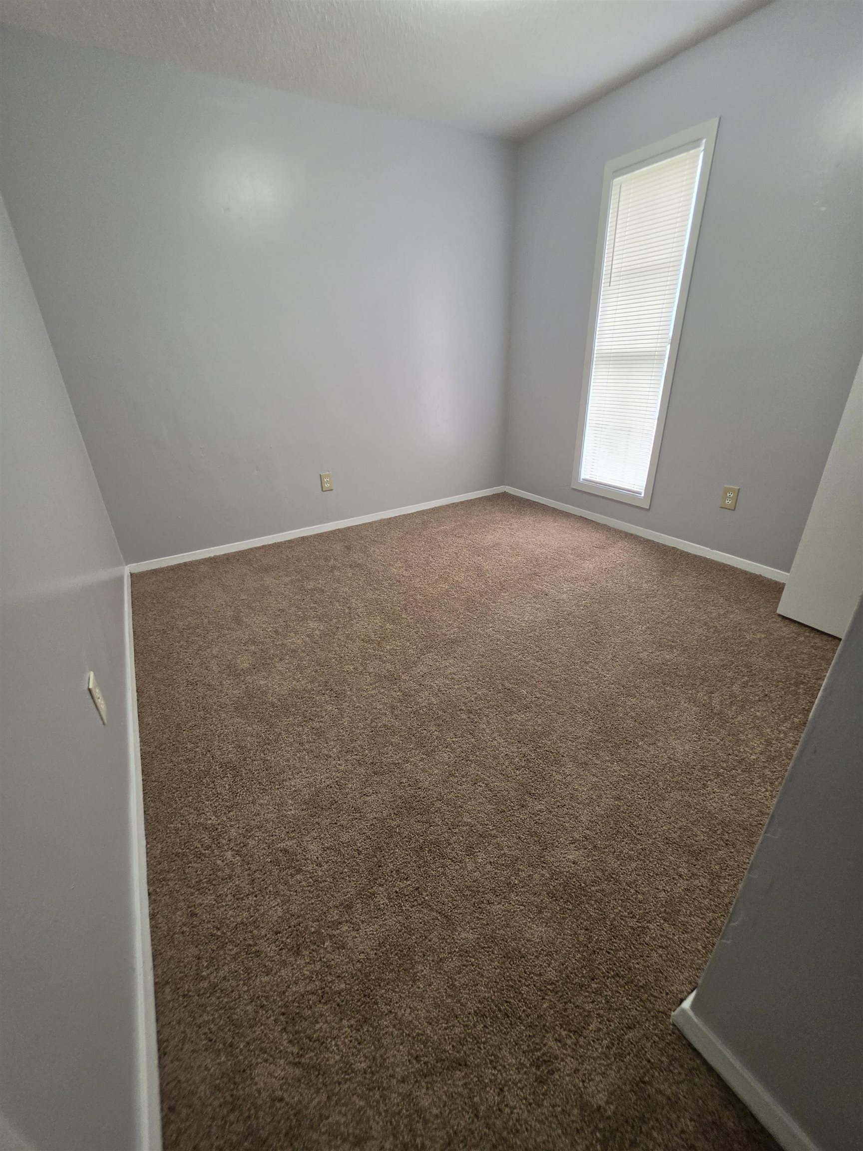 3882 Brandy Ave Property Photo 12