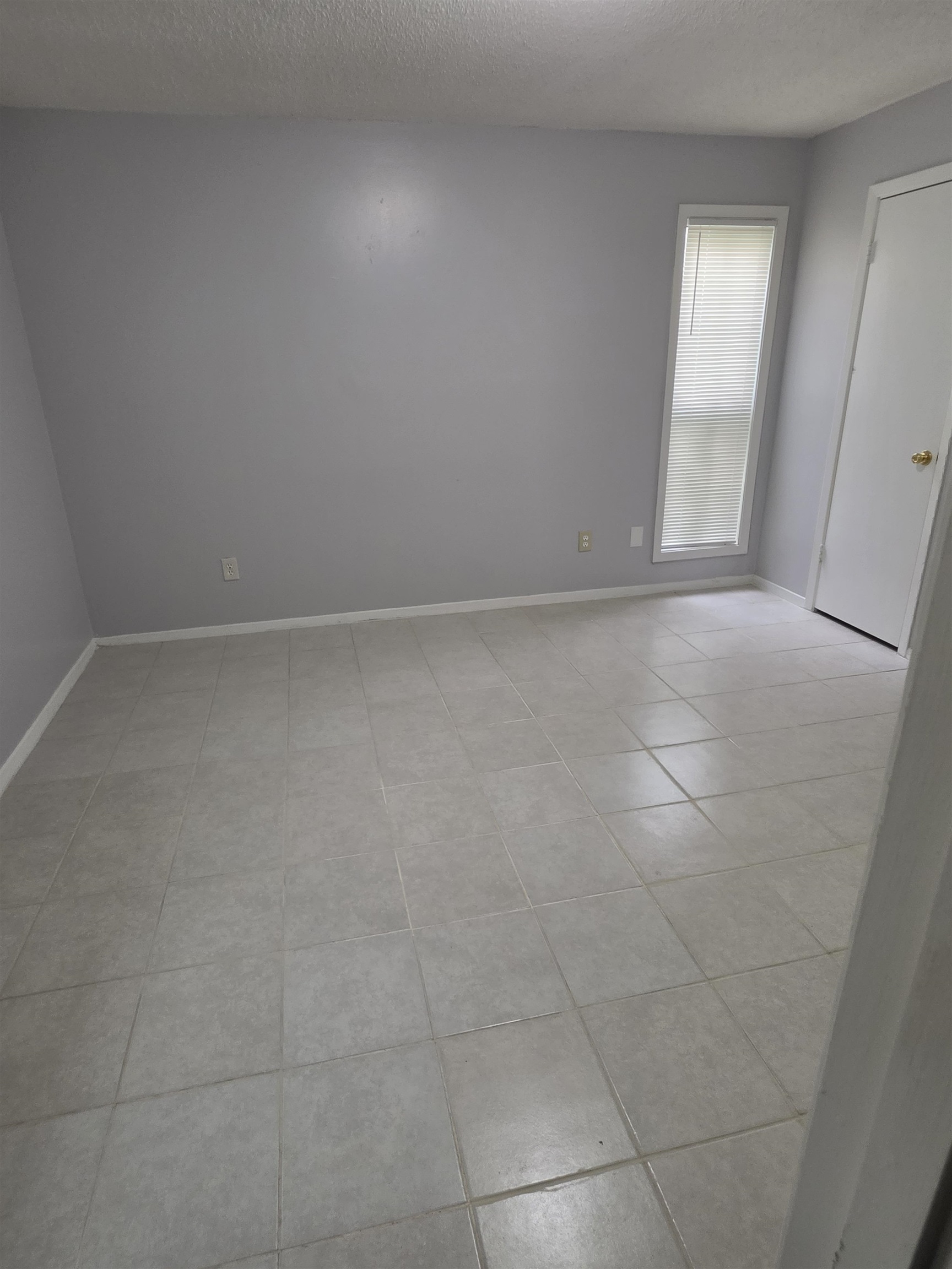 3882 Brandy Ave Property Photo 13