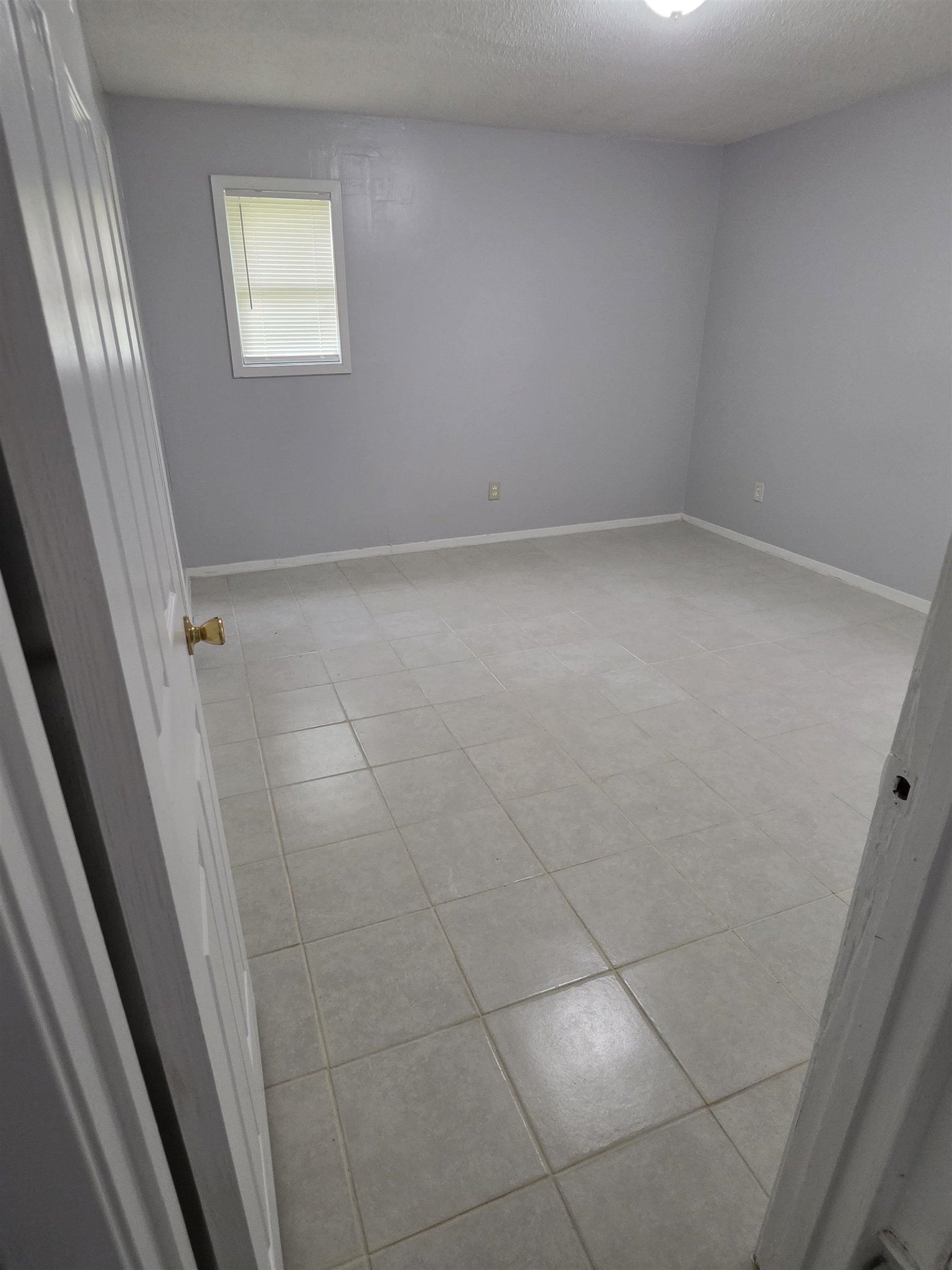 3882 Brandy Ave Property Photo 14
