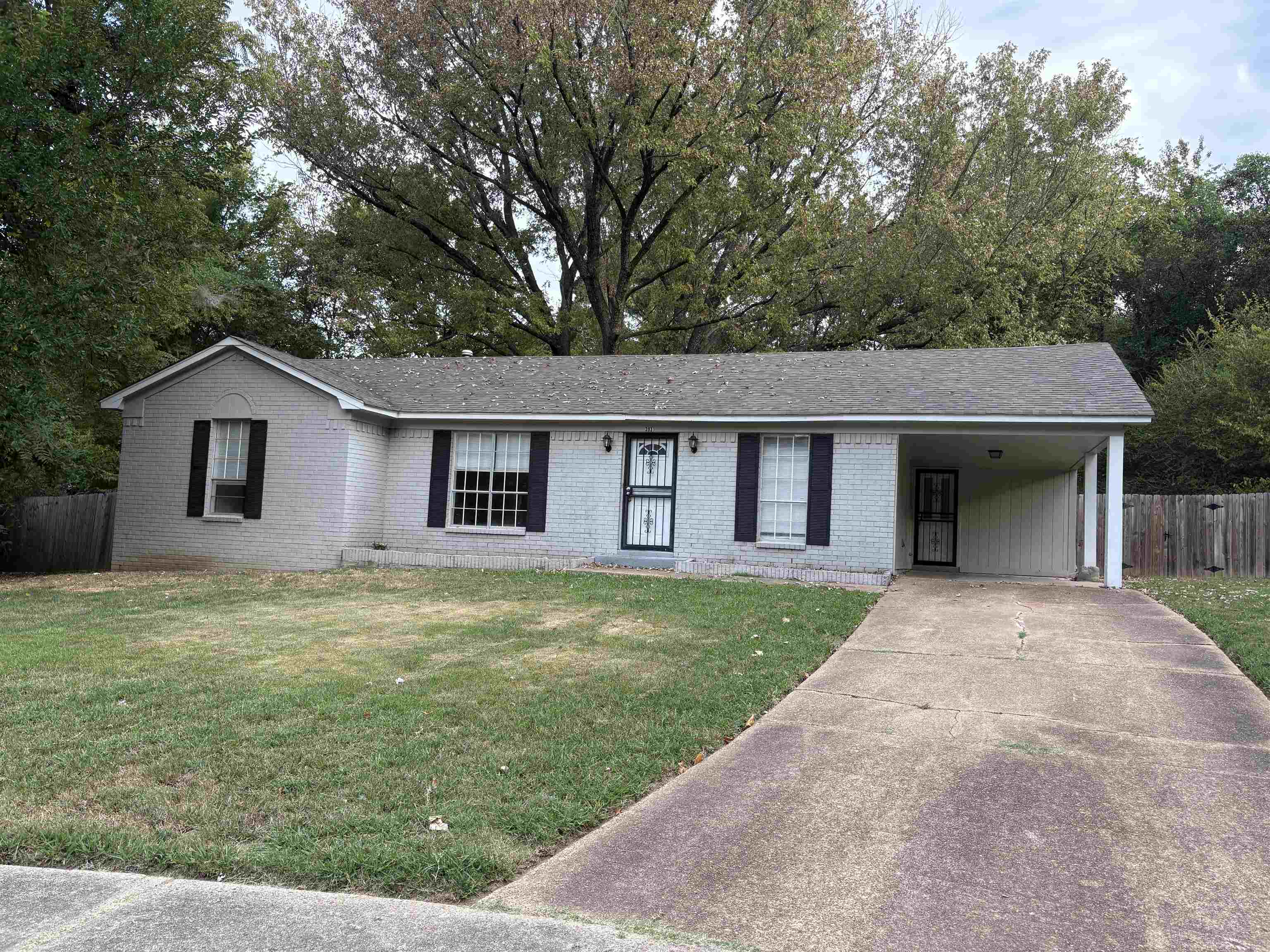 3931 Twilight Cv Property Photo 1