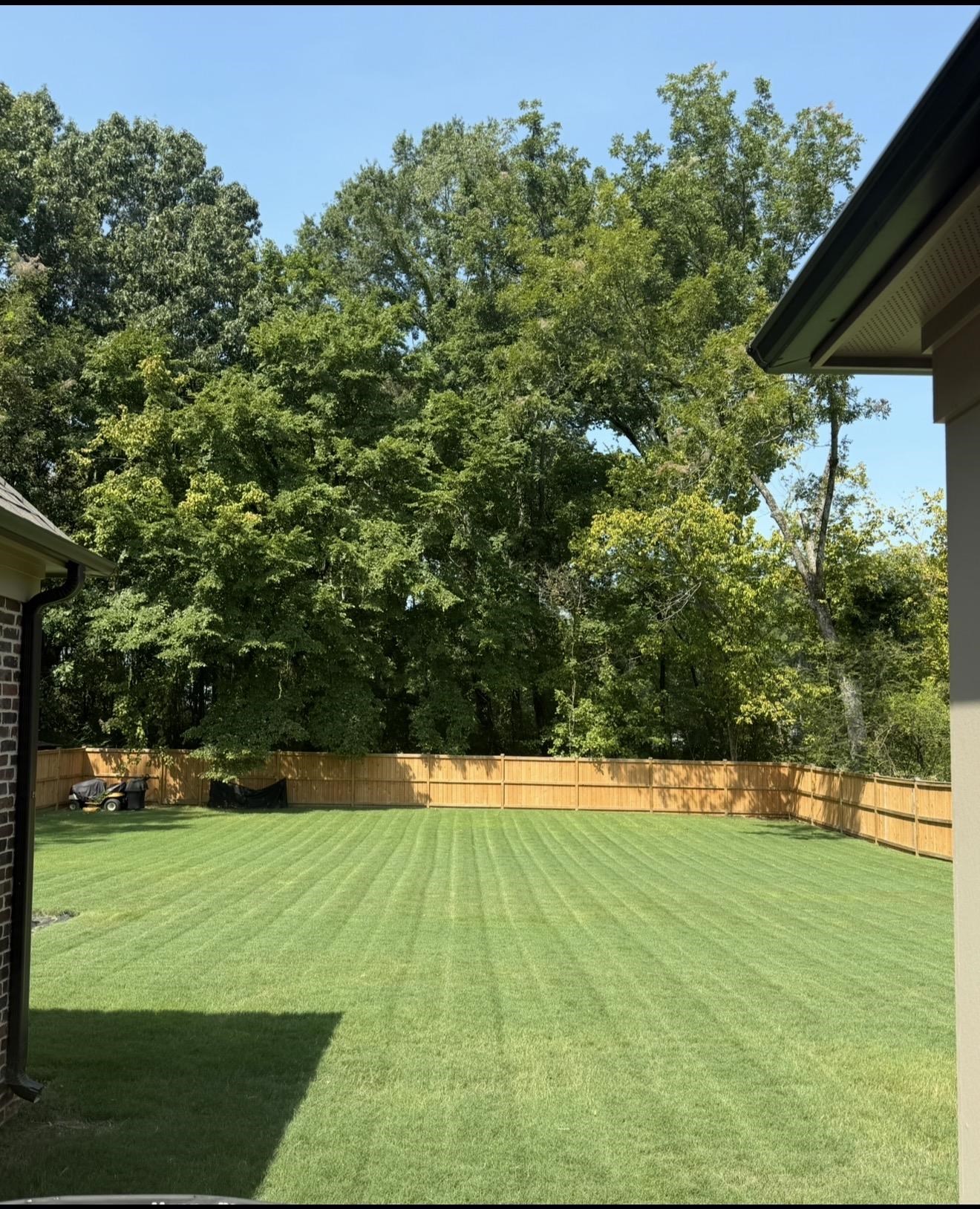 185 Mills St Property Photo 38