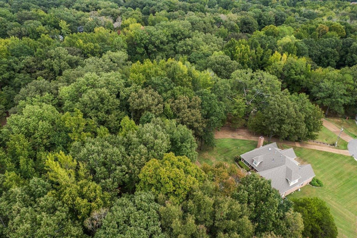20 Bent Creek Dr Property Photo 4