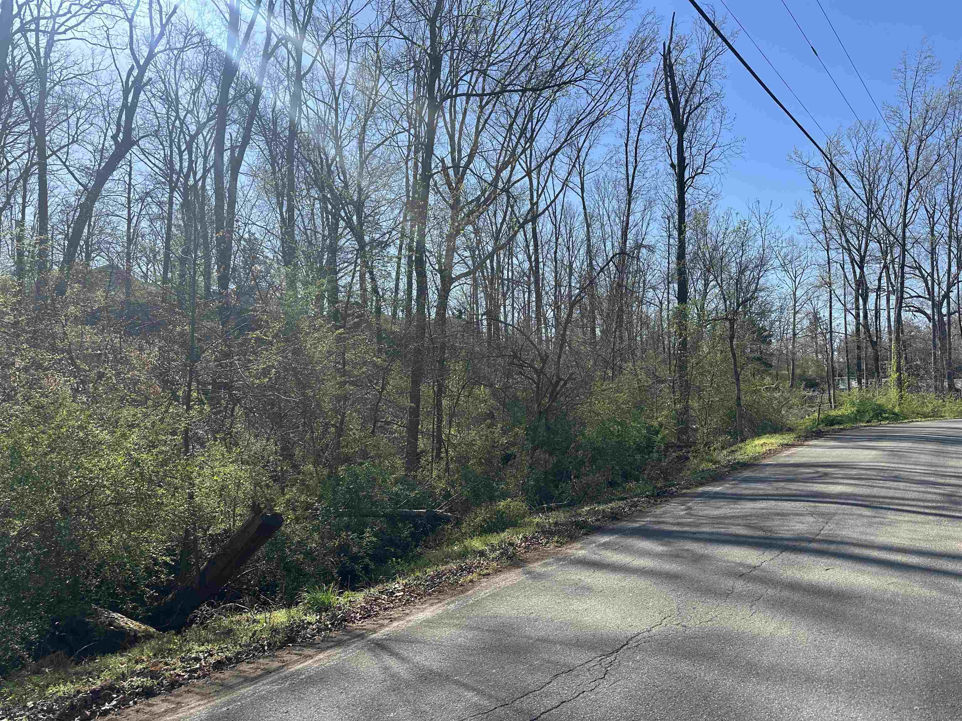 LOT 2 CRUMP LANDING RD Property Photo 1