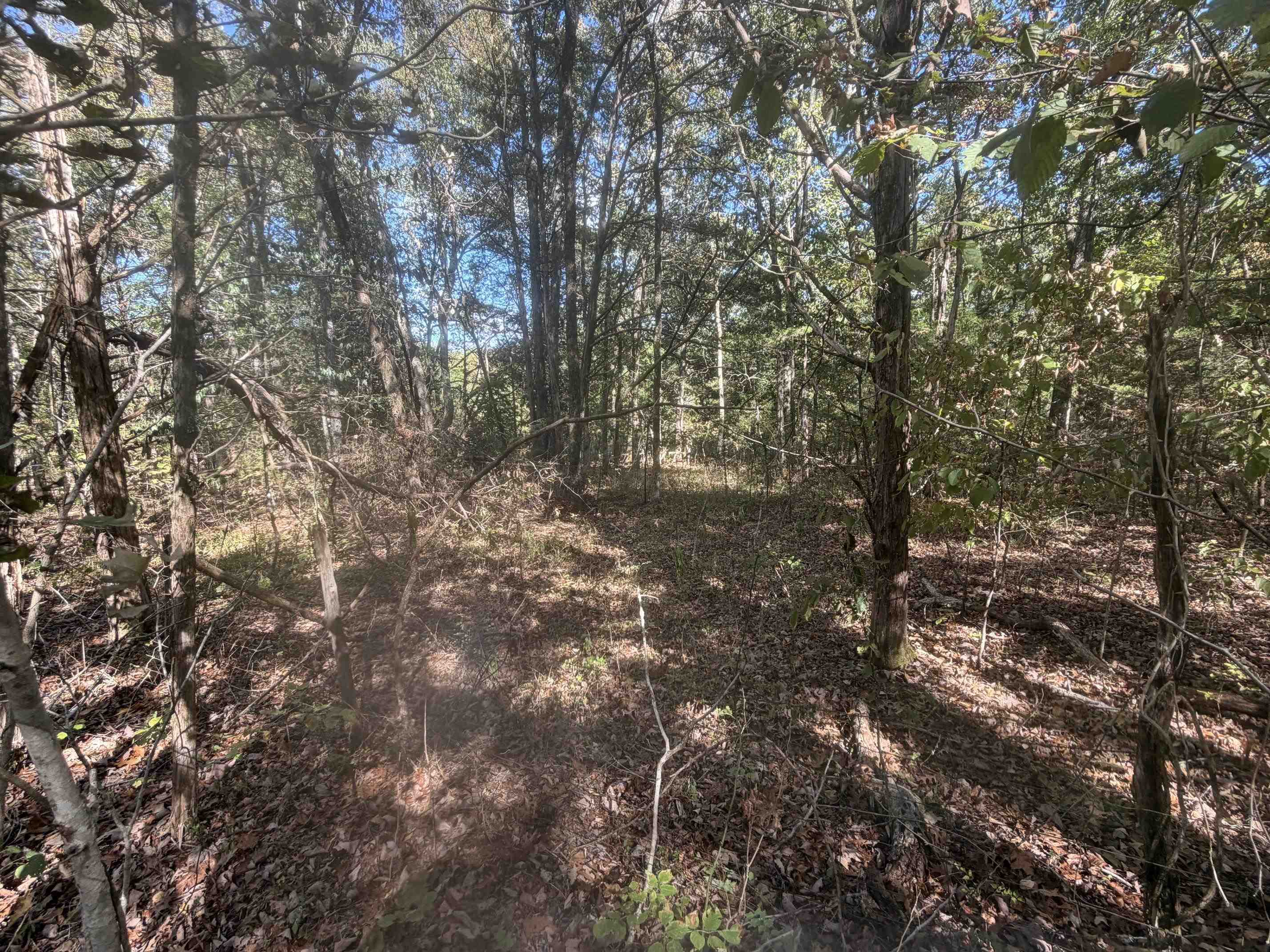 Doll Conway Rd Property Photo 1