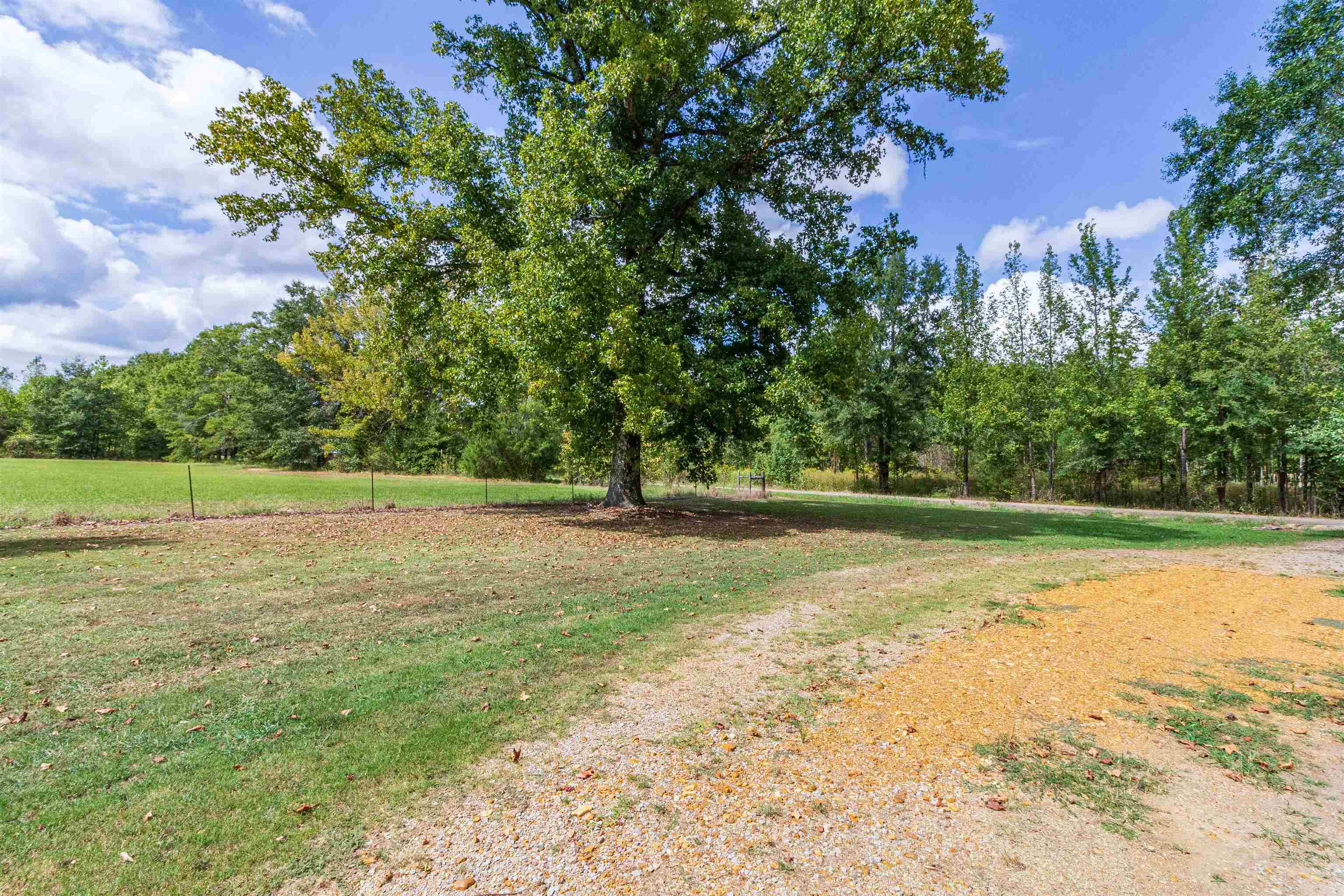 941 Mt Vernon Rd Property Photo 3
