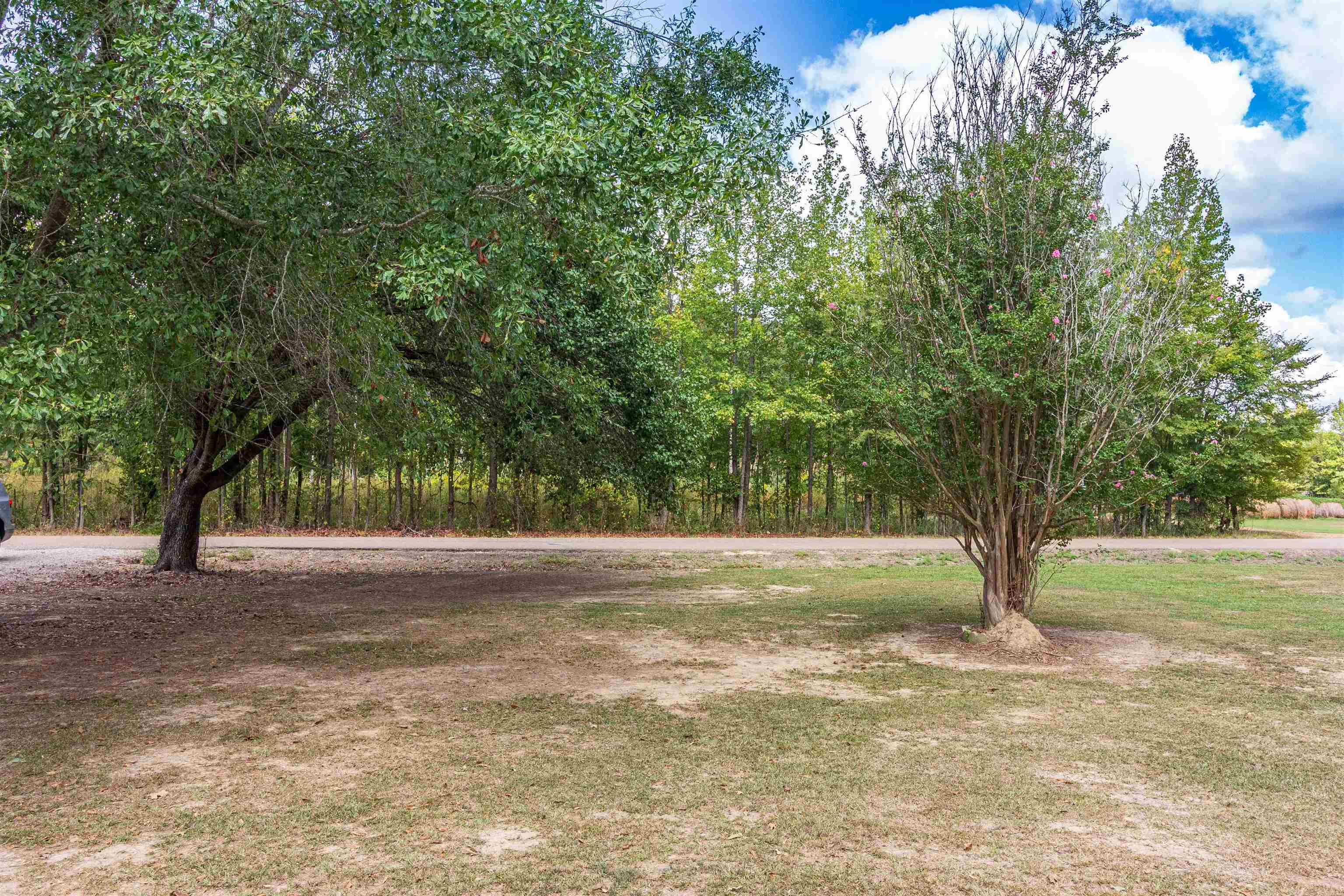 941 Mt Vernon Rd Property Photo 4