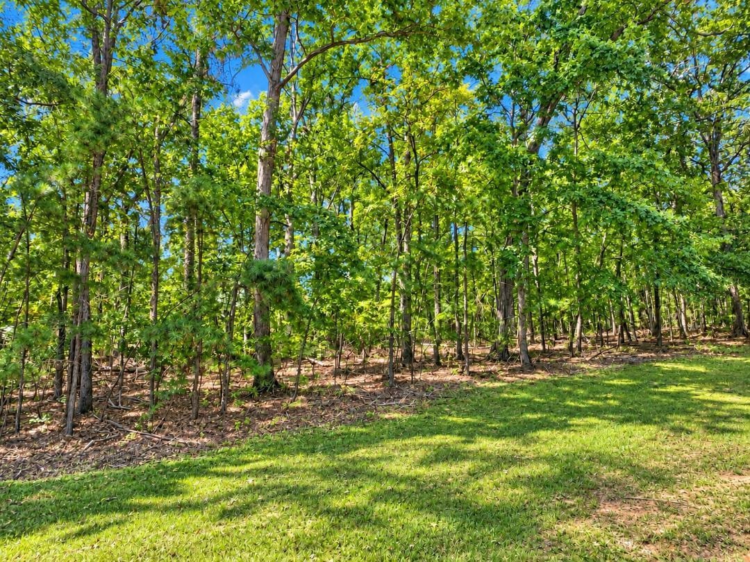Lot 495 Briar Creek Cv Property Photo 1