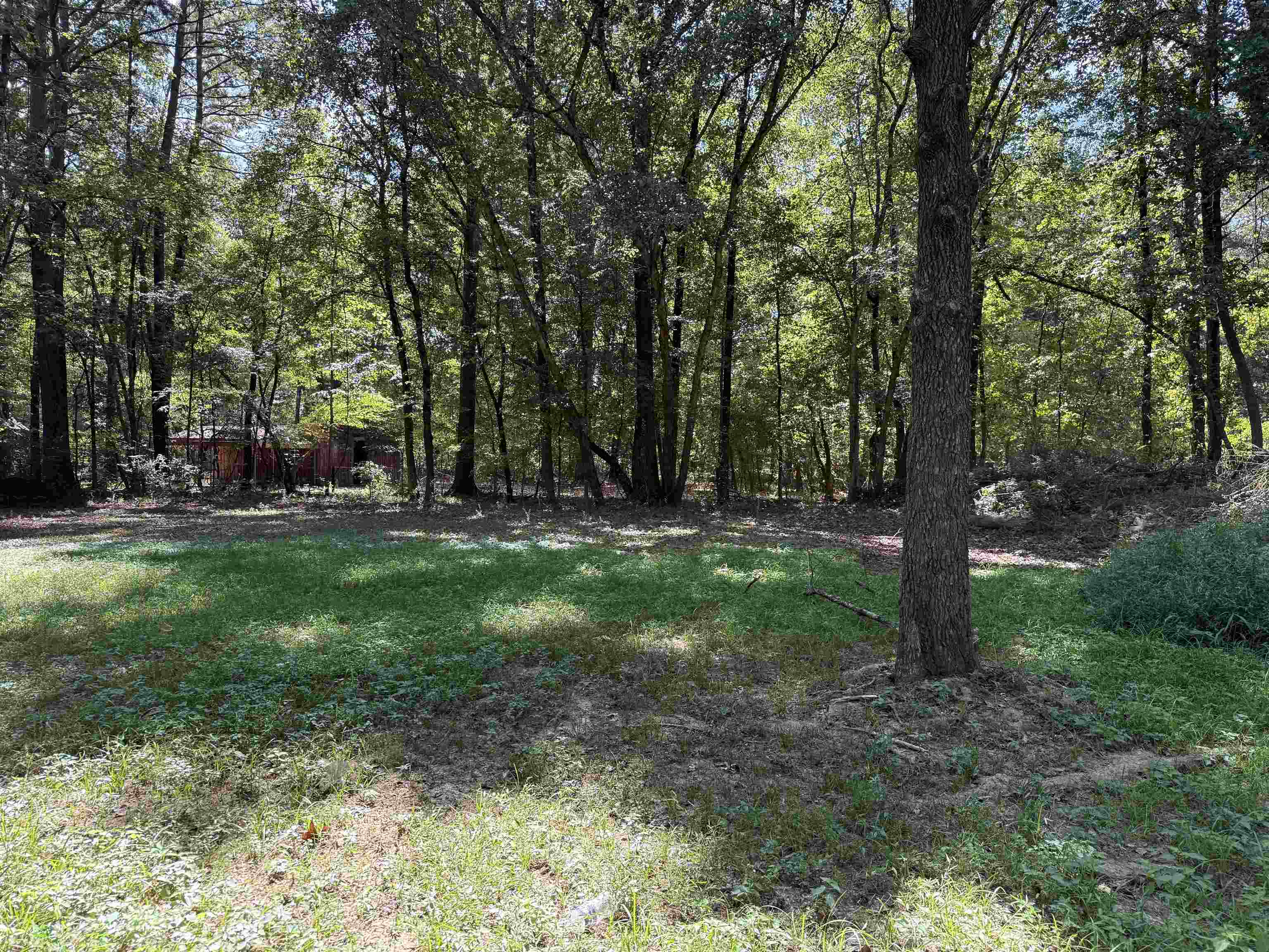 85 Magnolia Dr Property Photo 4