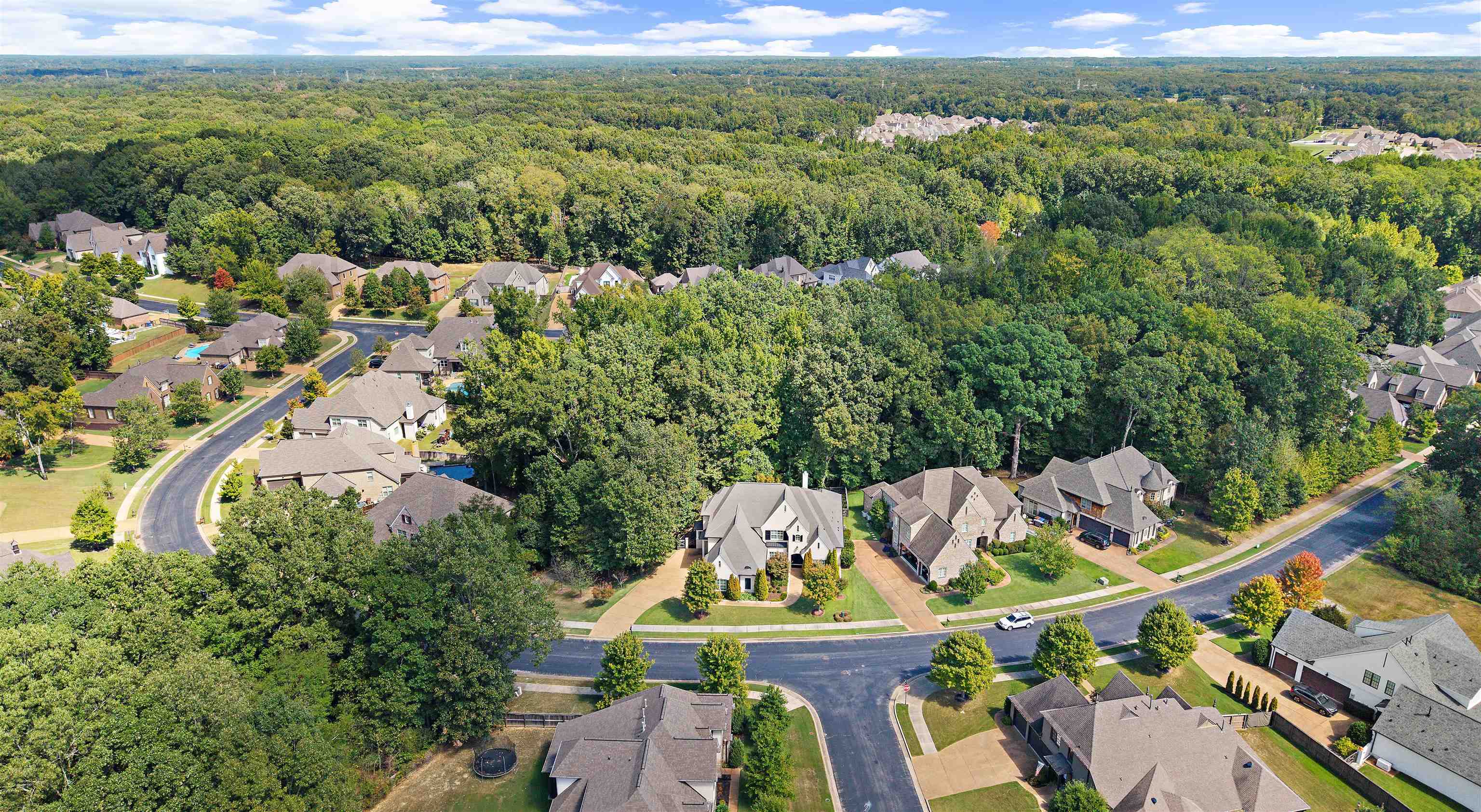 10204 Maple Run Dr Property Photo 40