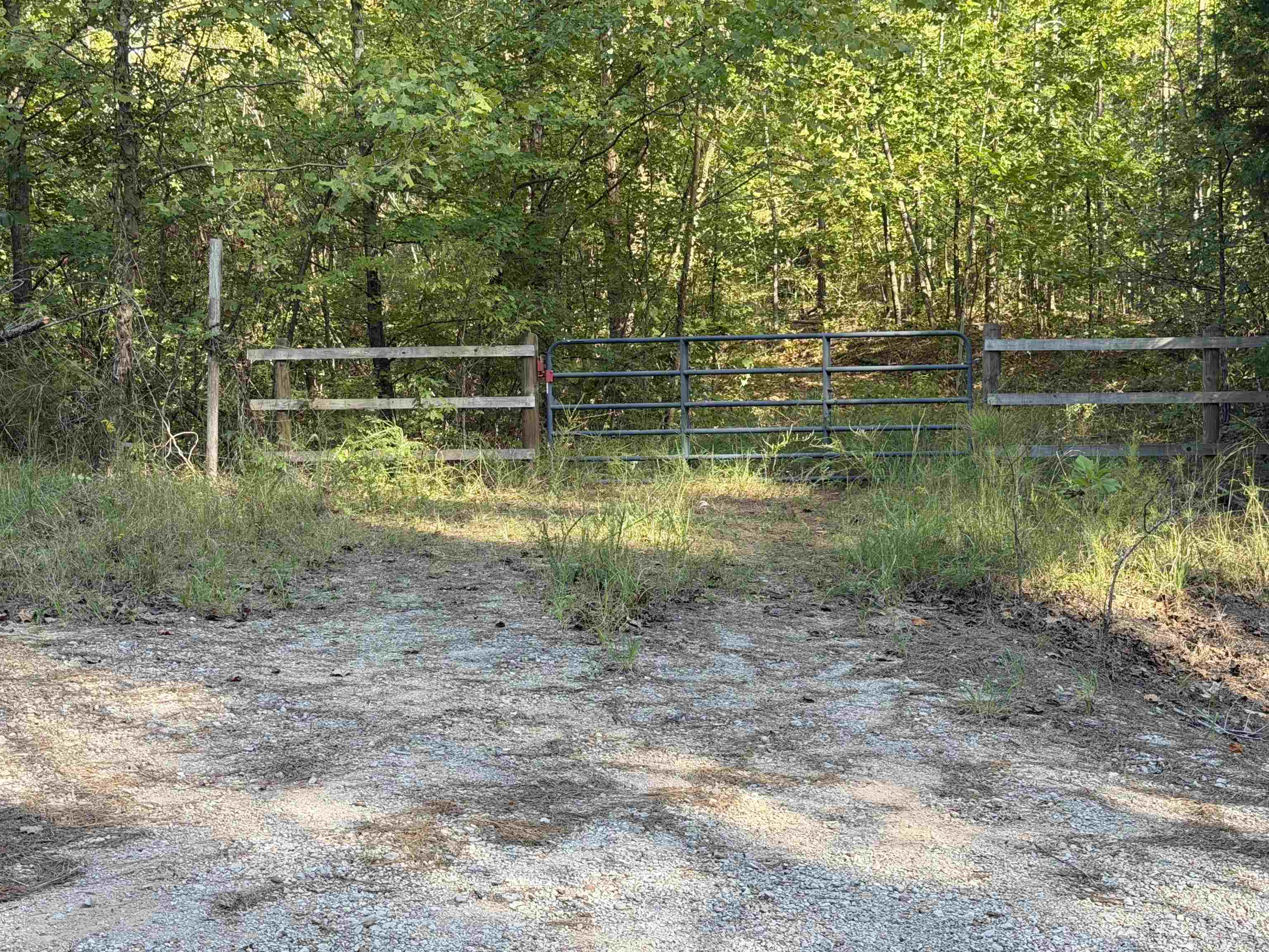 7905 Sain Rd Property Photo 1