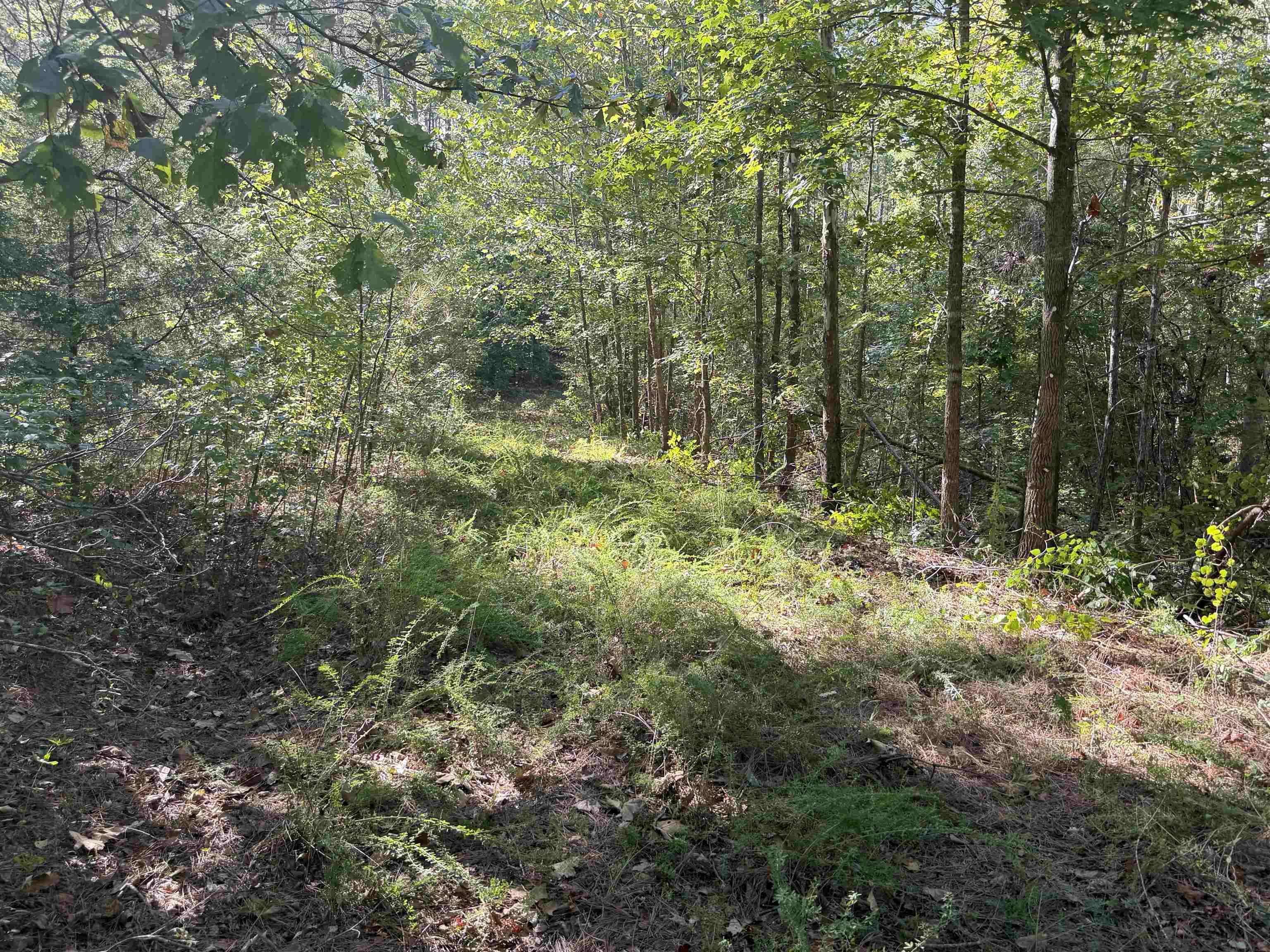 7905 Sain Rd Property Photo 2