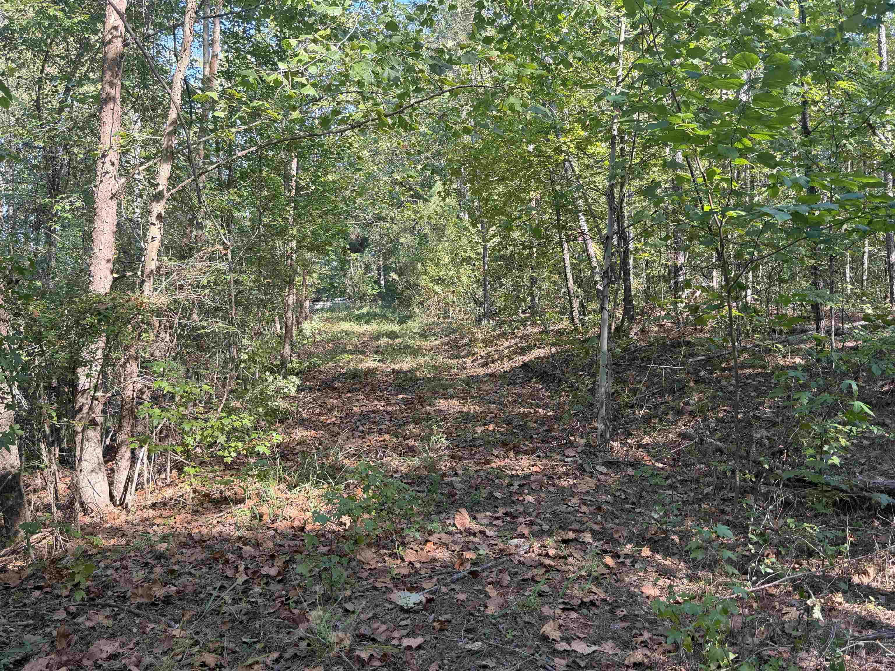 7905 Sain Rd Property Photo 3