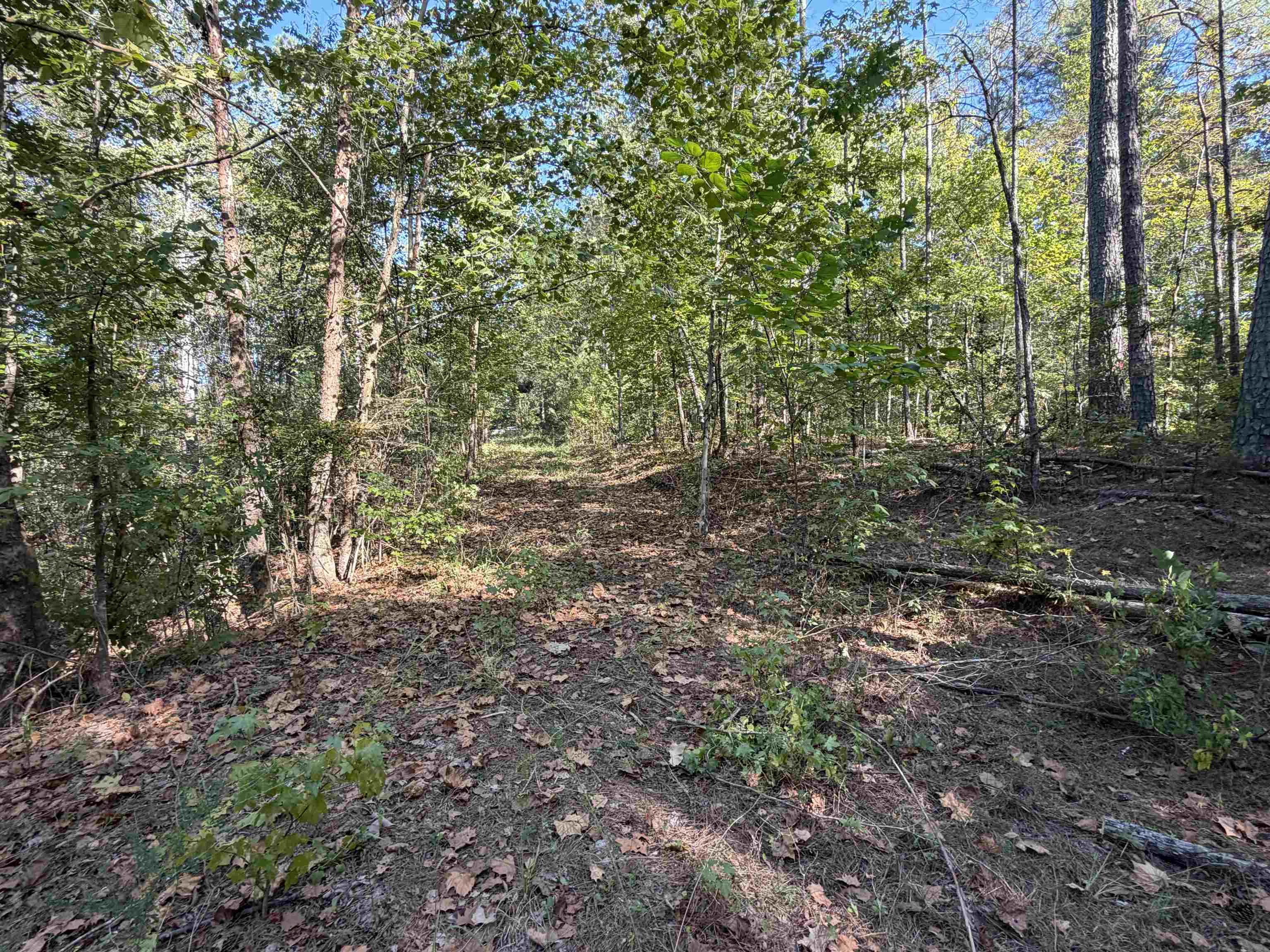 7905 Sain Rd Property Photo 4