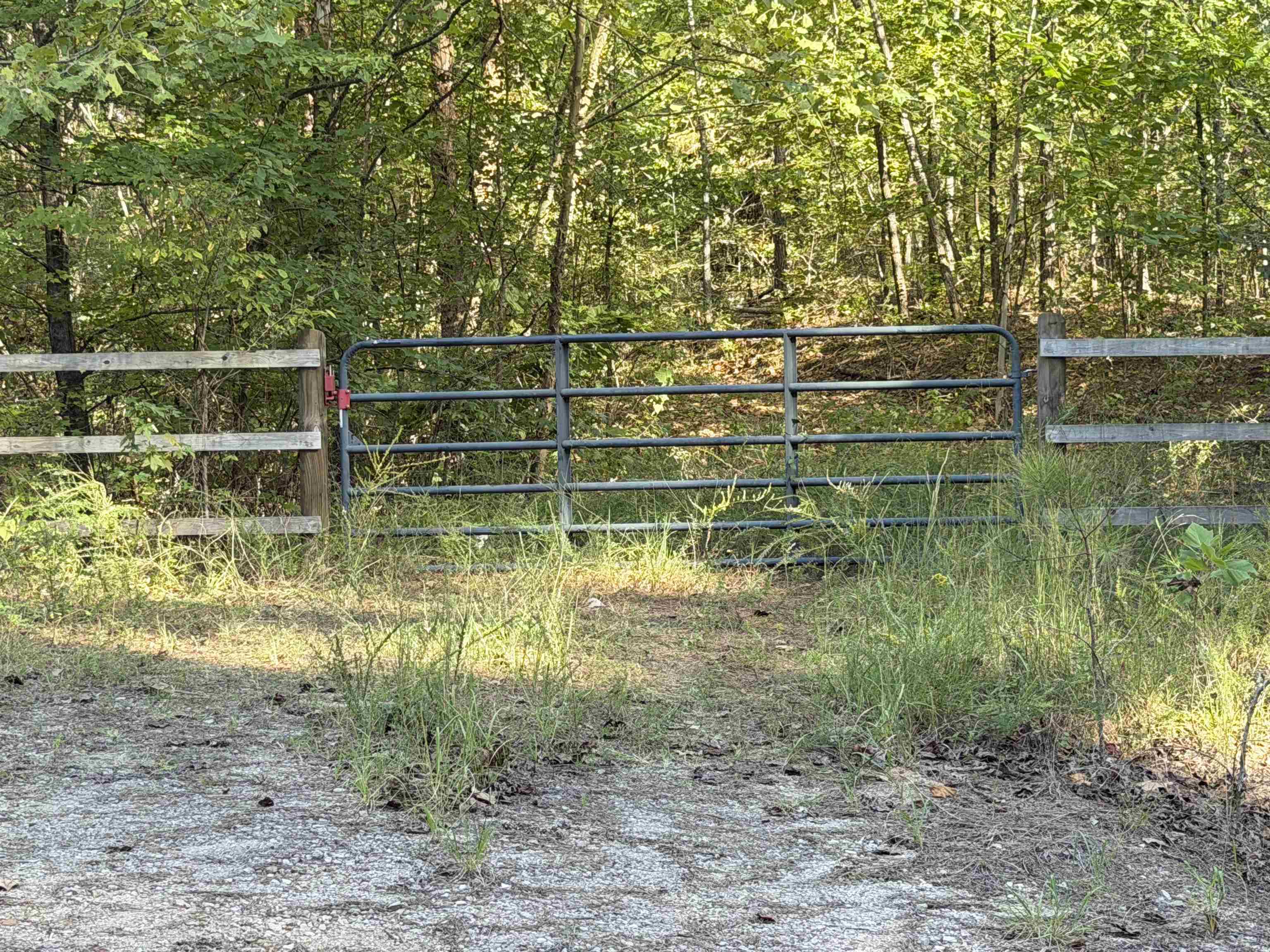 7905 Sain Rd Property Photo 5