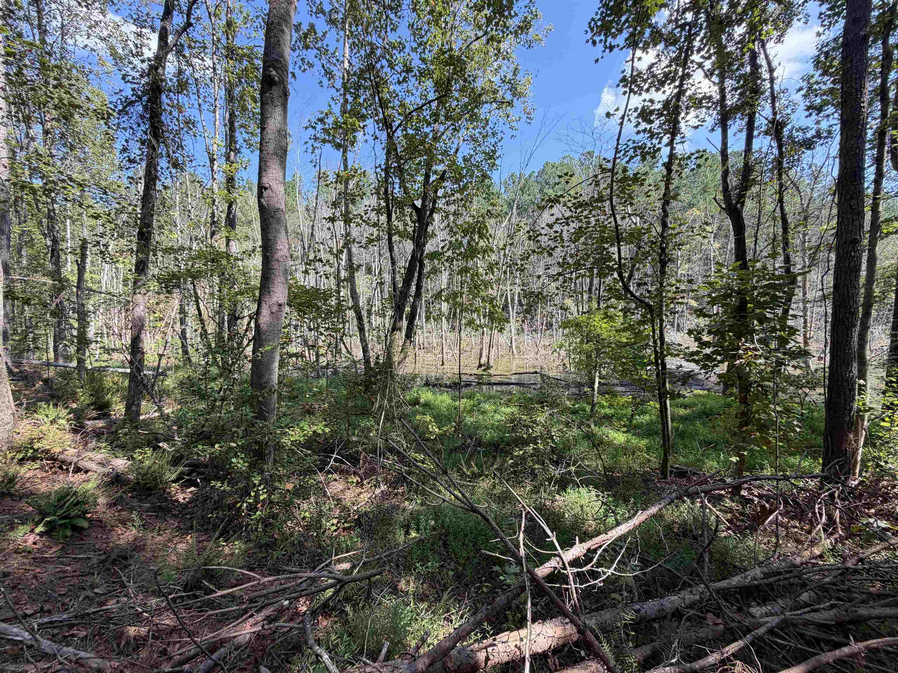 7905 Sain Rd Property Photo 10
