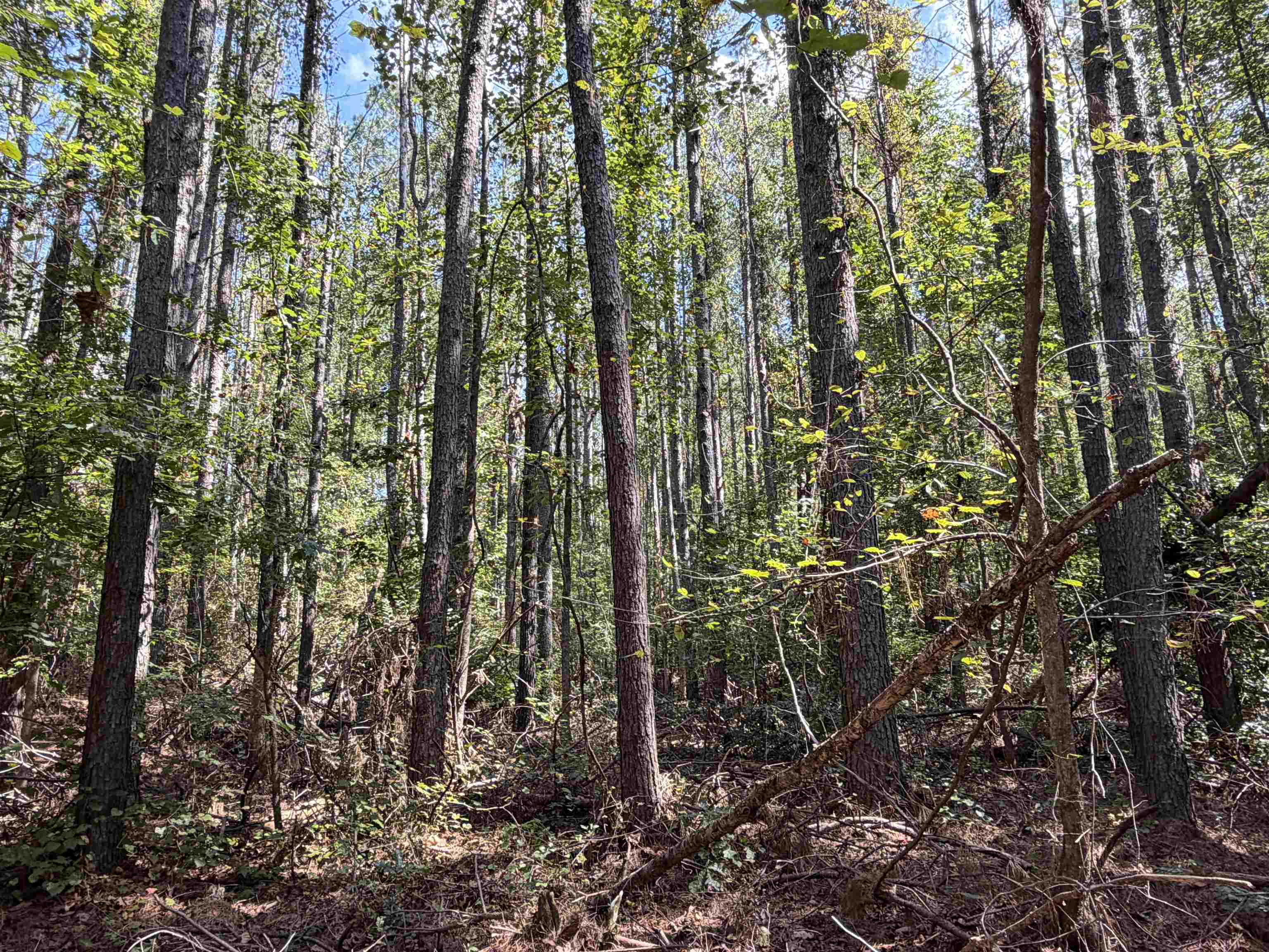 7905 Sain Rd Property Photo 15